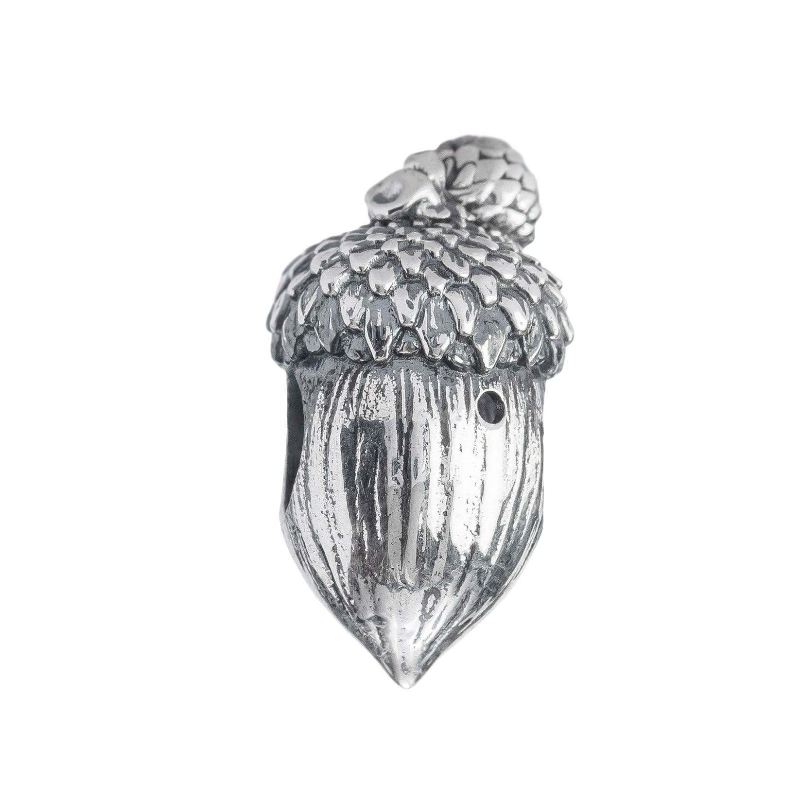 Acorn Family