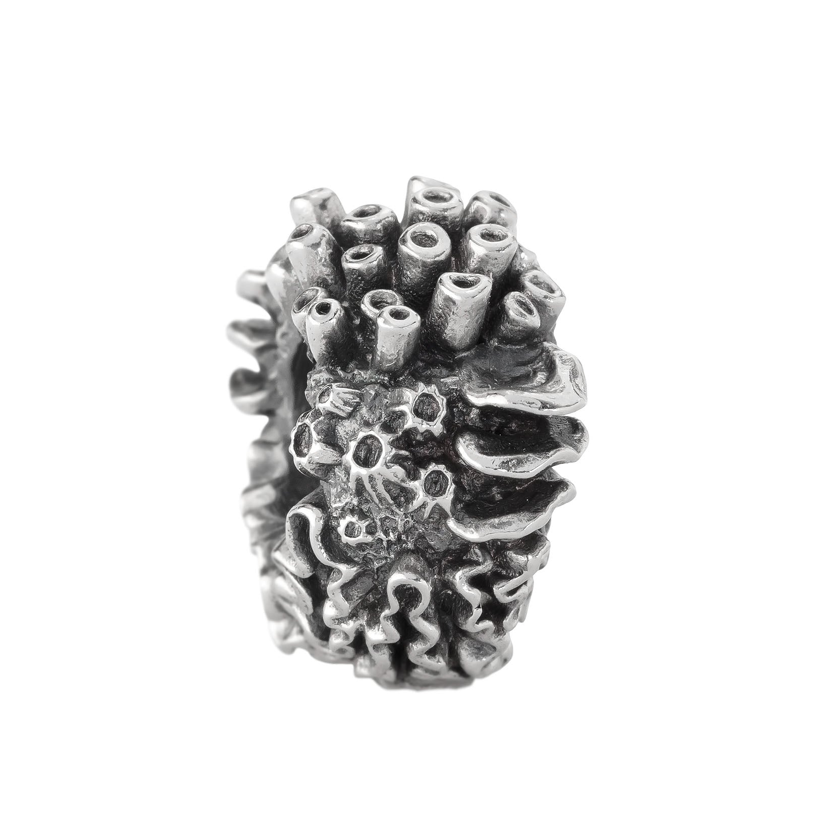 Coral Reef Spacer
