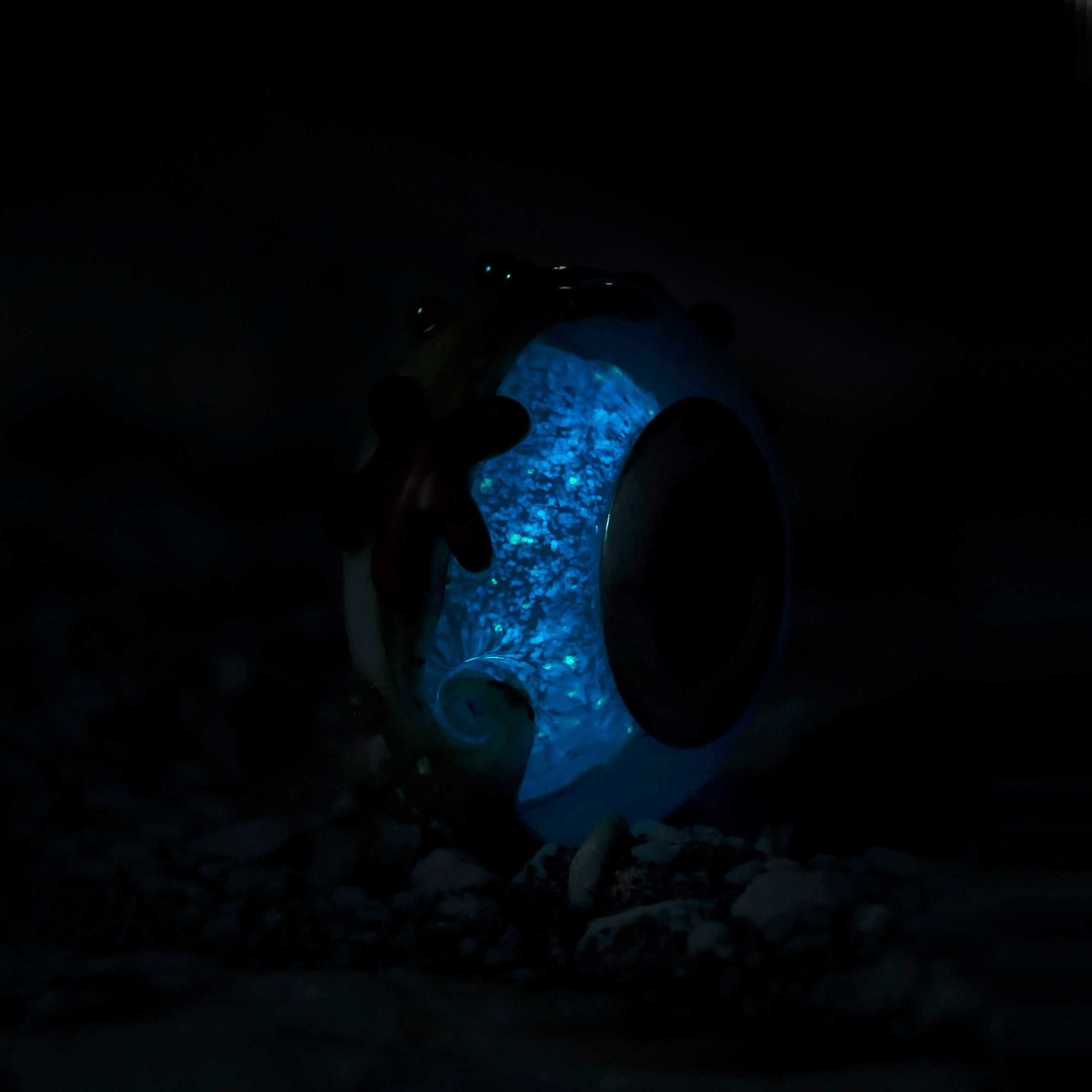 Starfish Shore Starlight