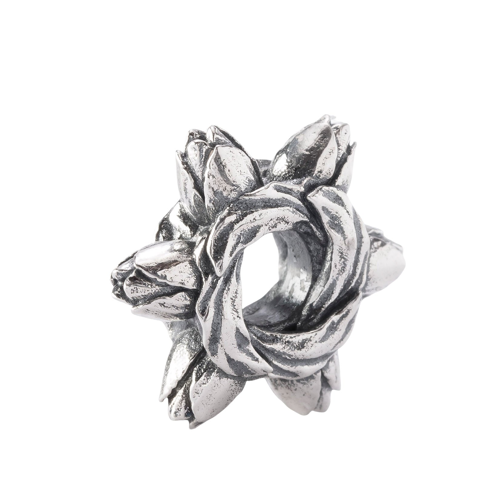 Tulip Embrace