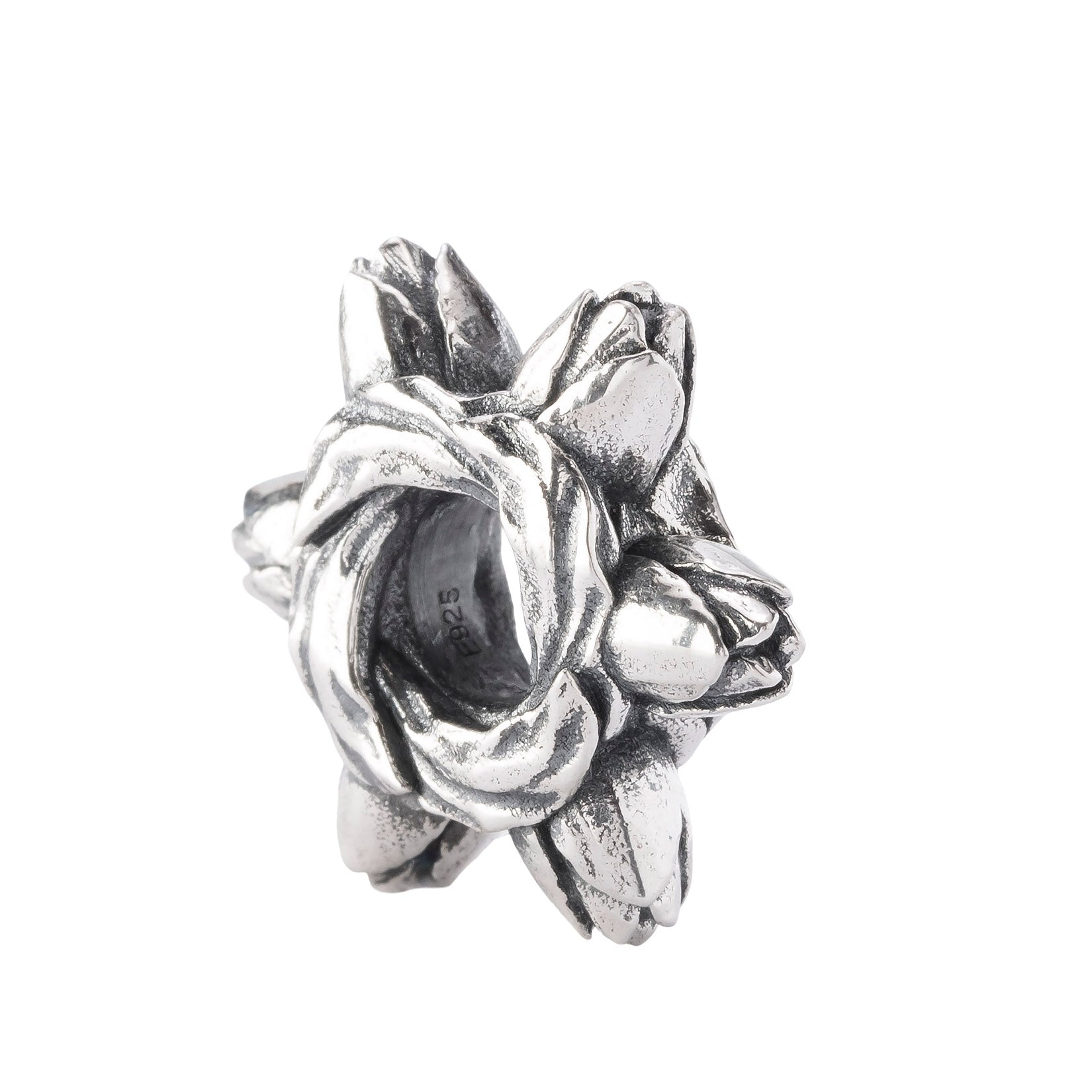Tulip Embrace