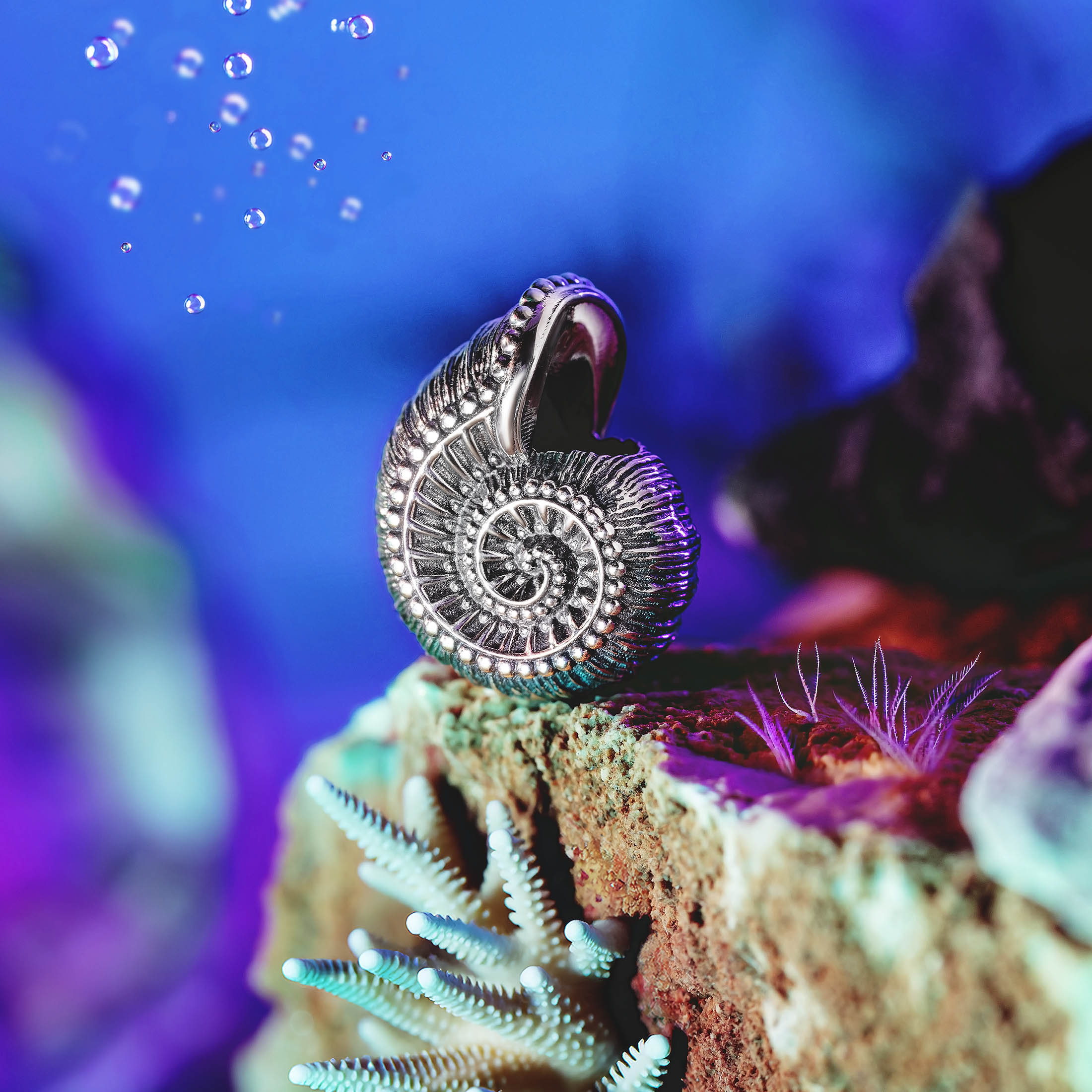 Echo of the Sea