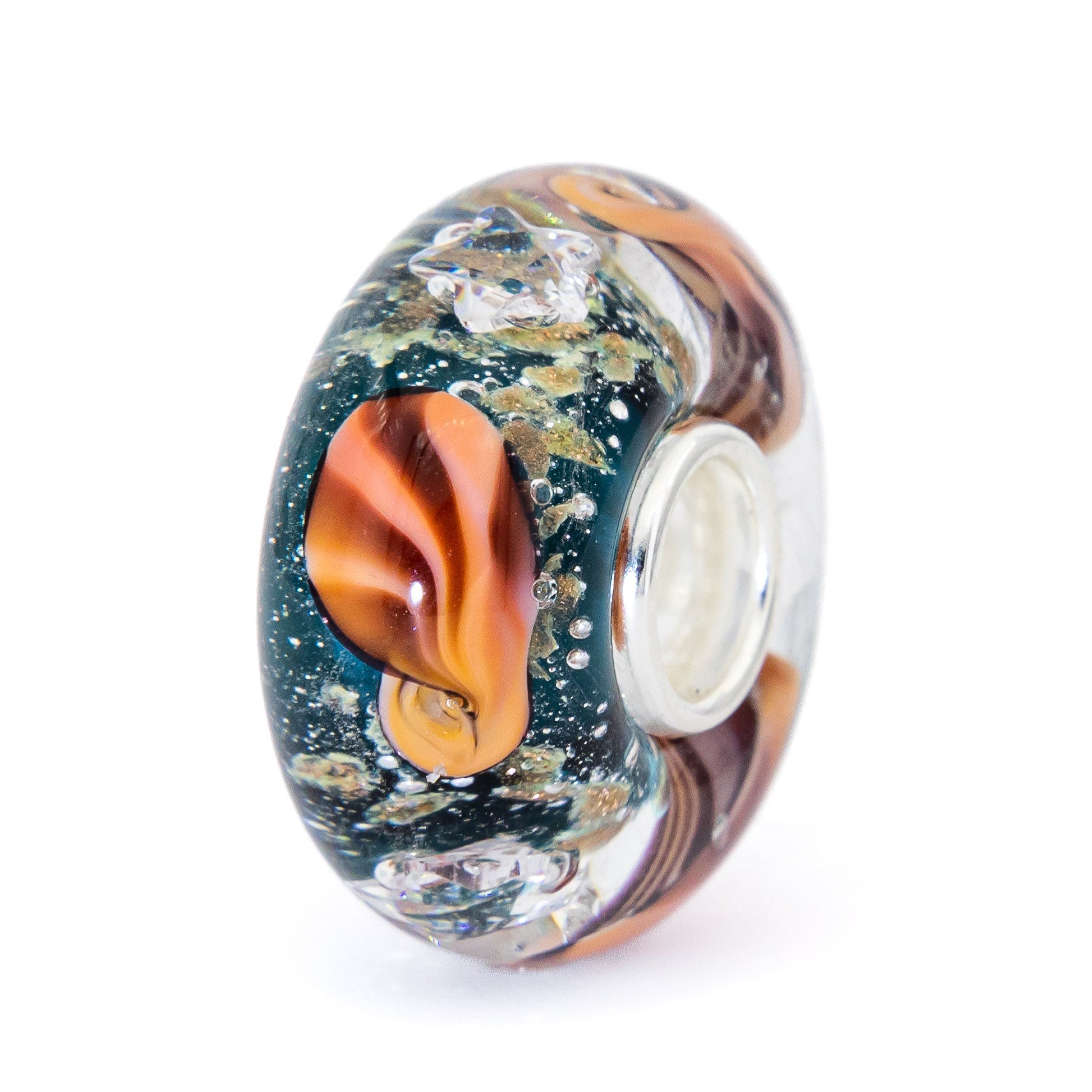 Ocean Seashell Shimmering