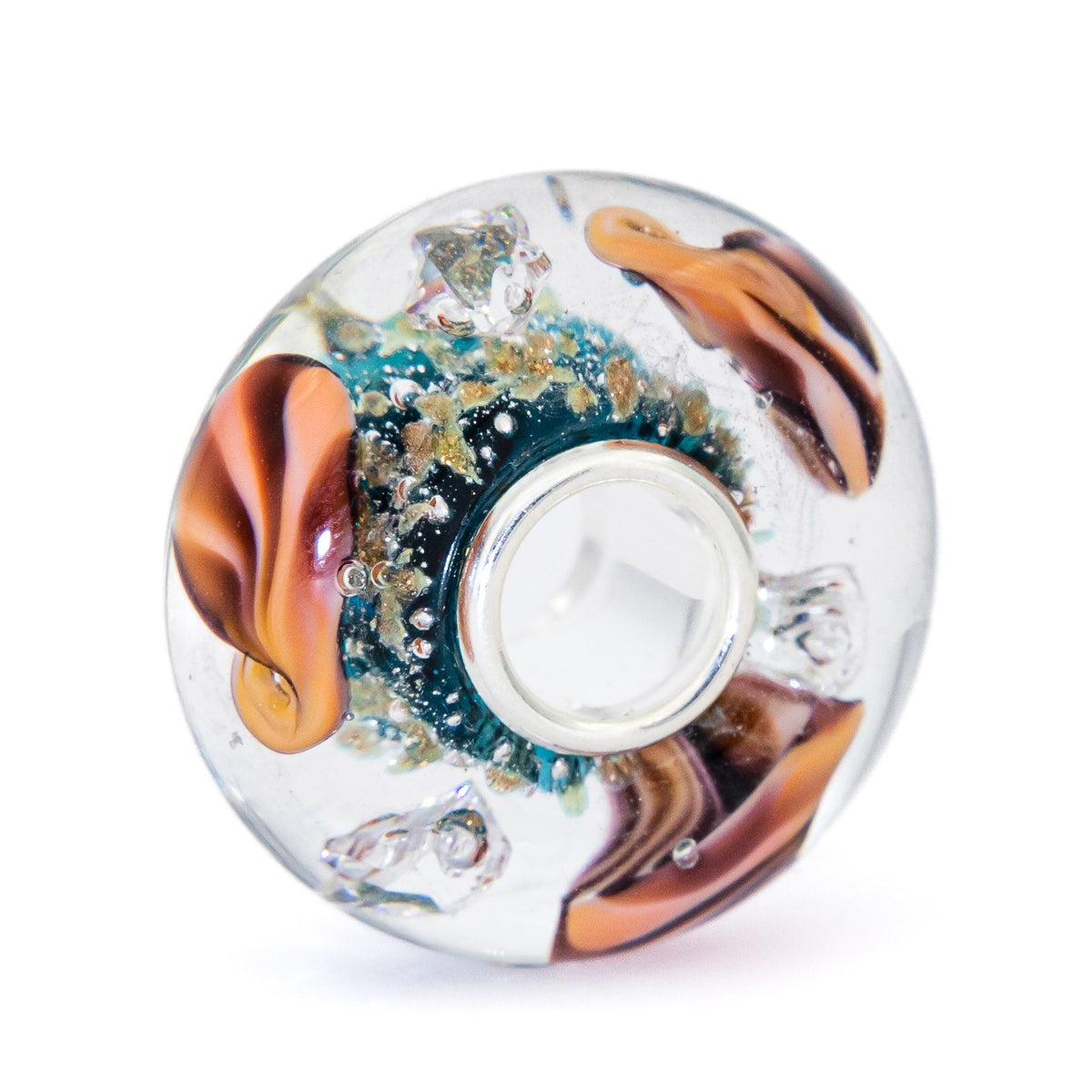 Ocean Seashell Shimmering