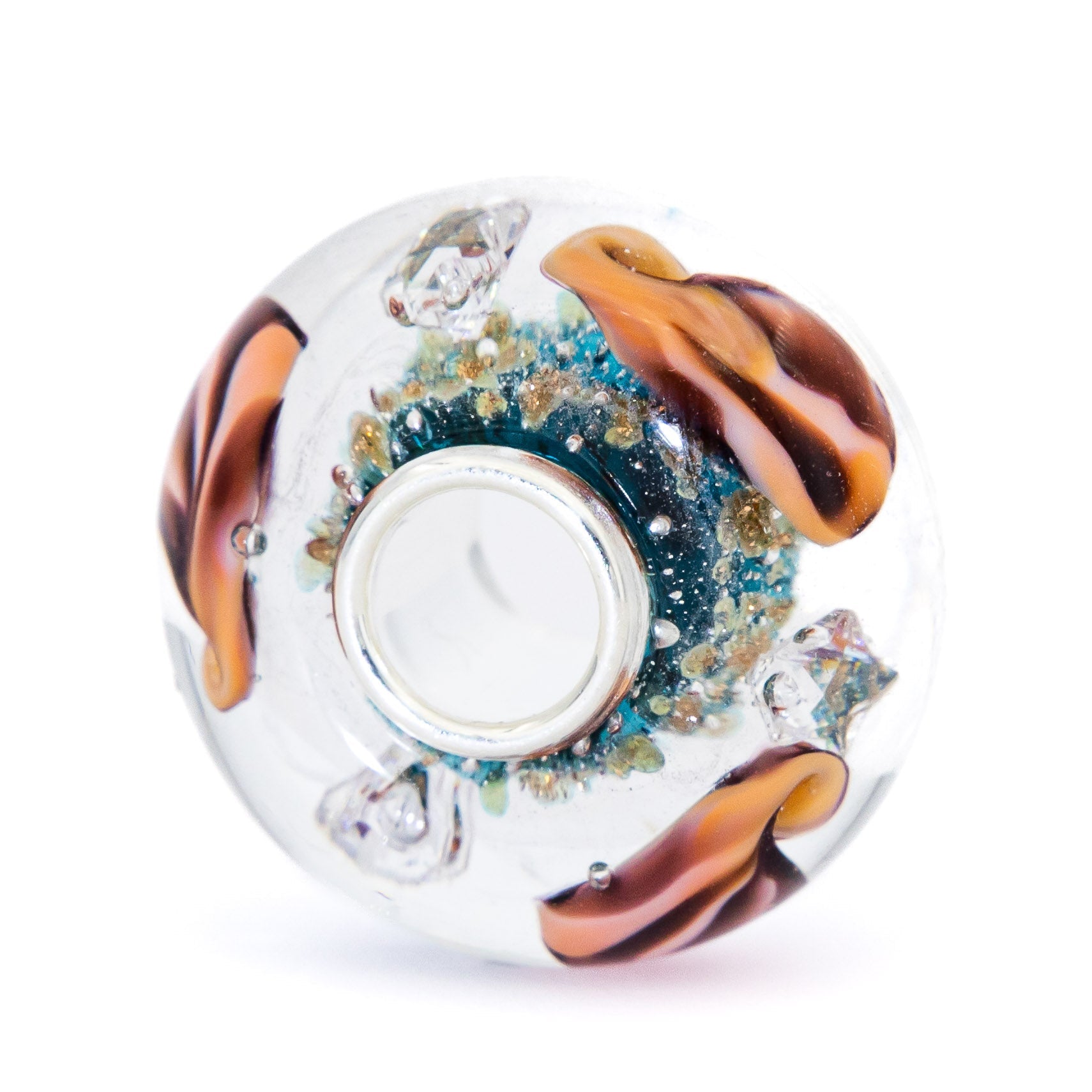 Ocean Seashell Shimmering