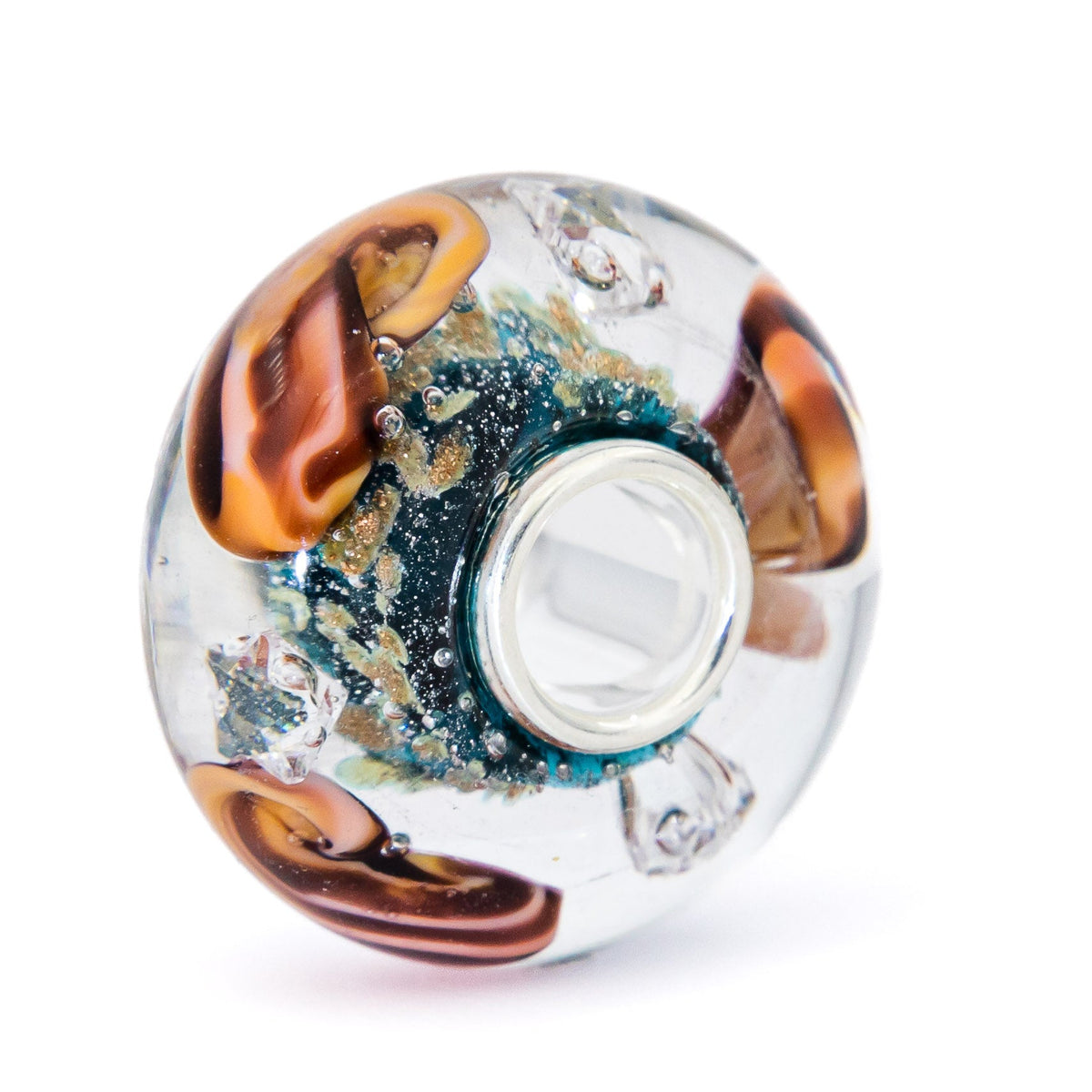 Ocean Seashell Shimmering