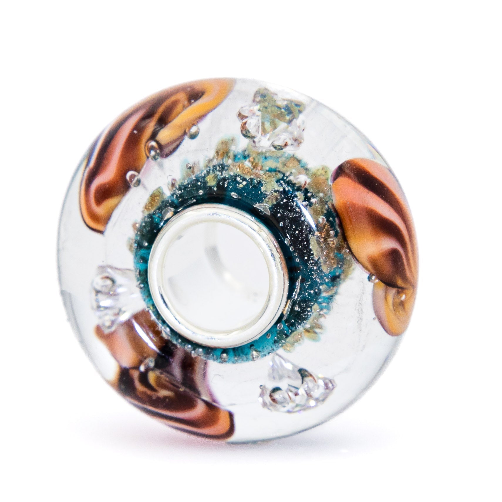 Ocean Seashell Shimmering