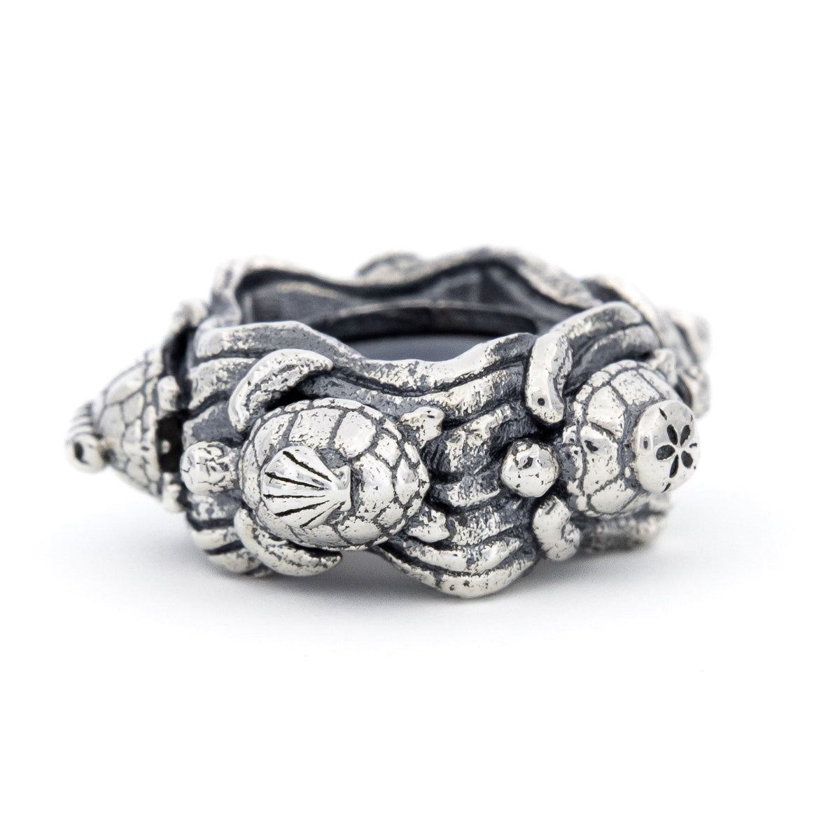 Seashell Turtles Stopper