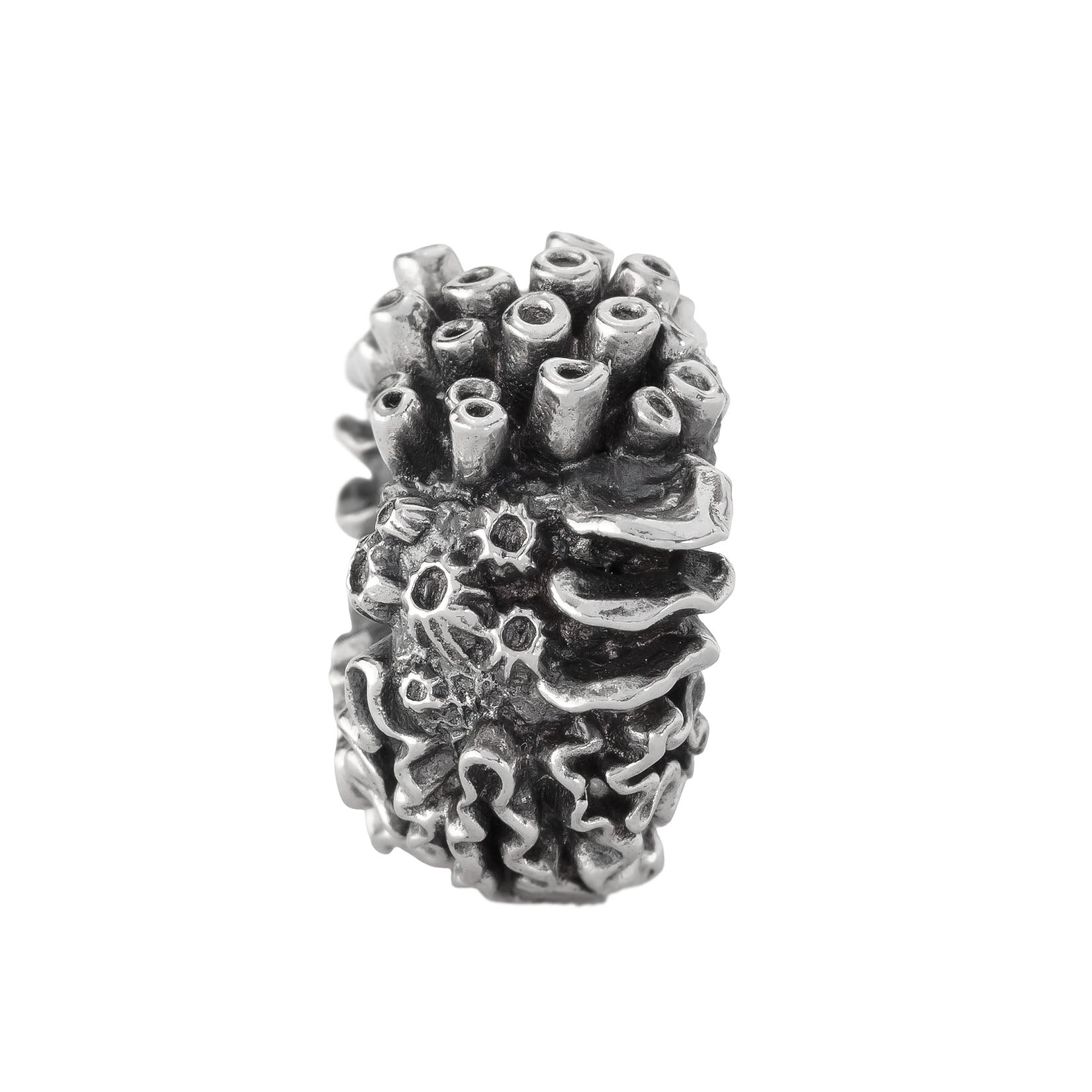 Coral Reef Spacer
