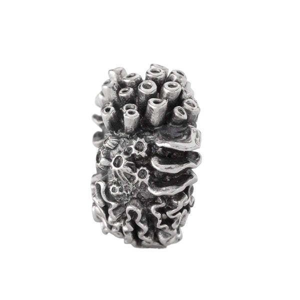 Coral Reef Spacer