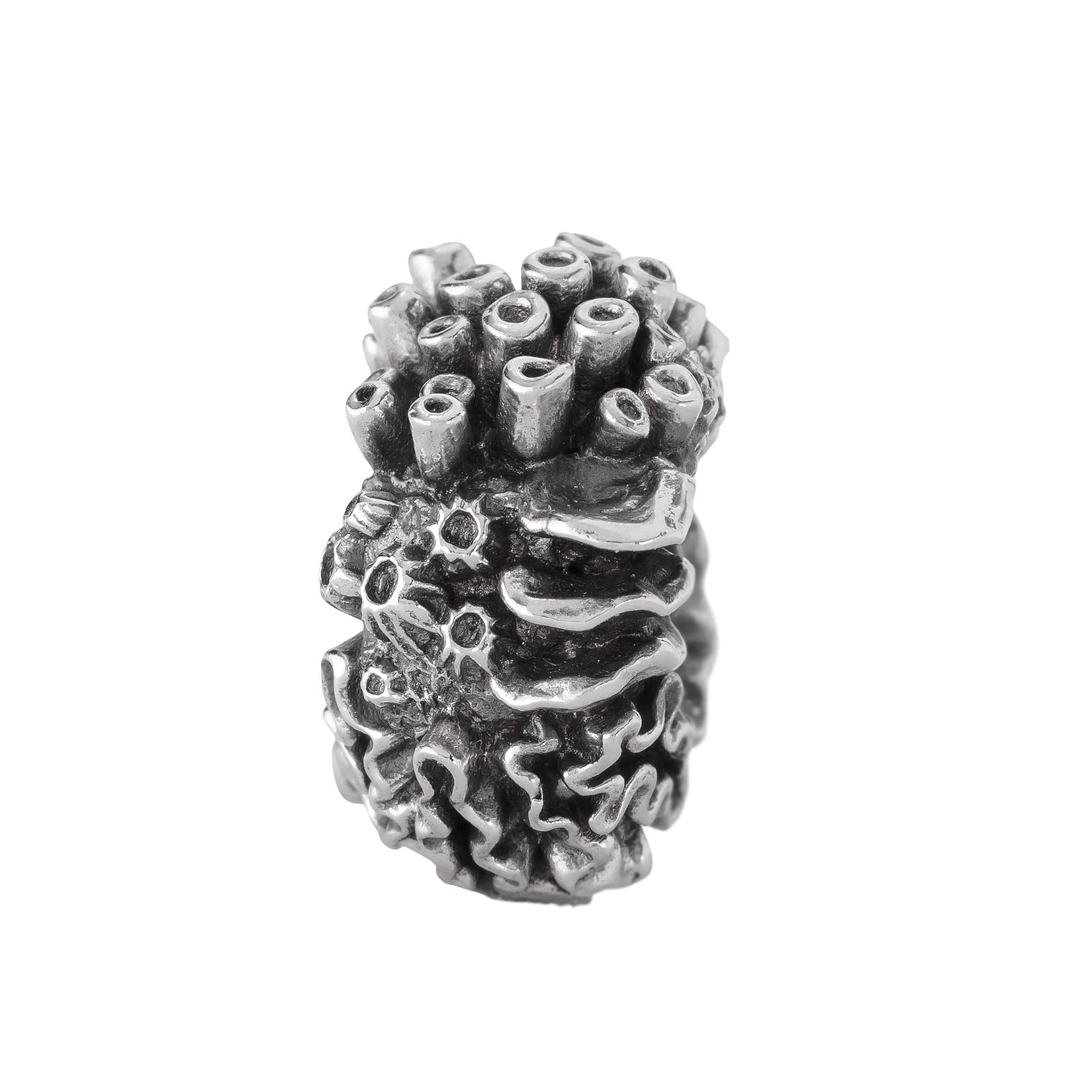 Coral Reef Spacer