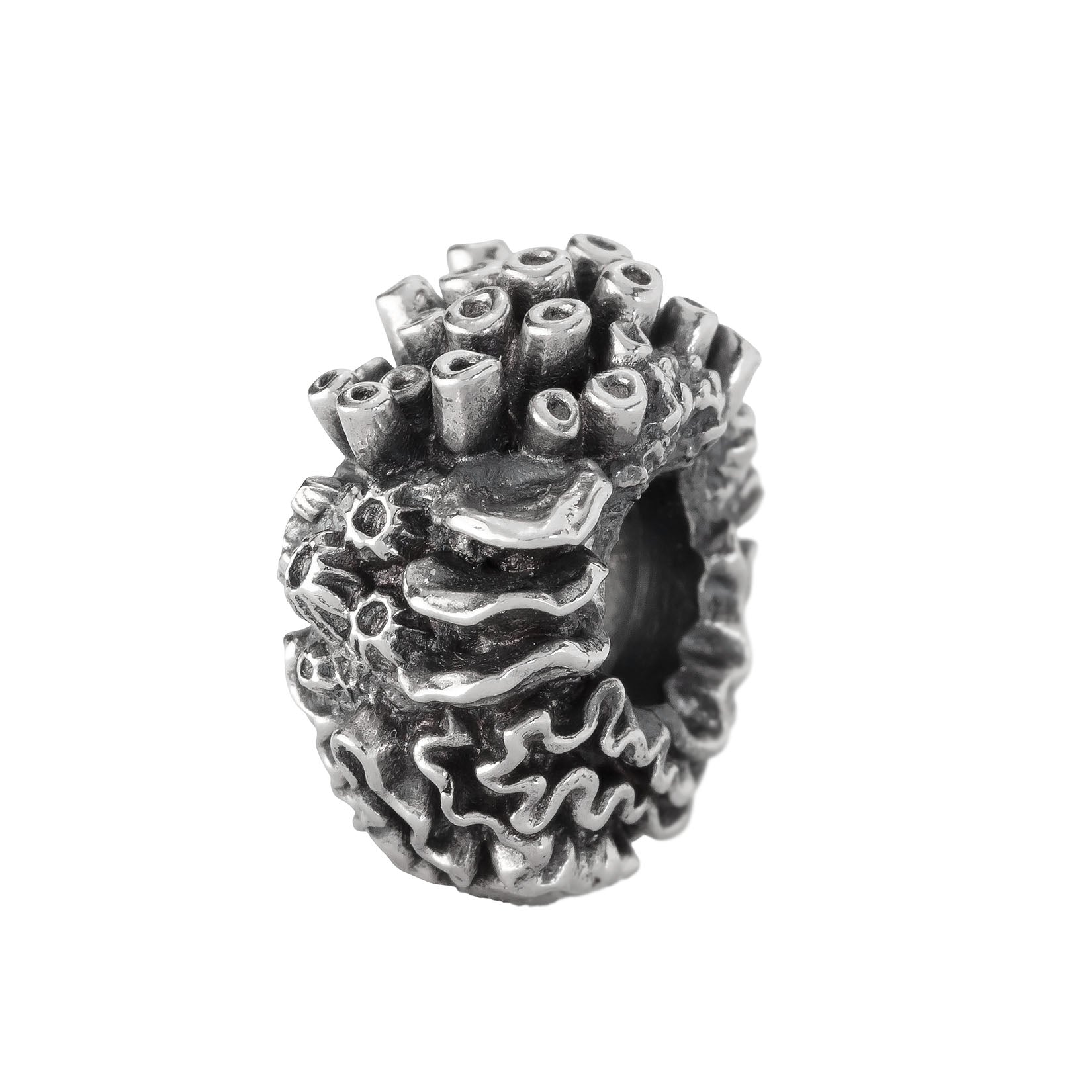 Coral Reef Spacer