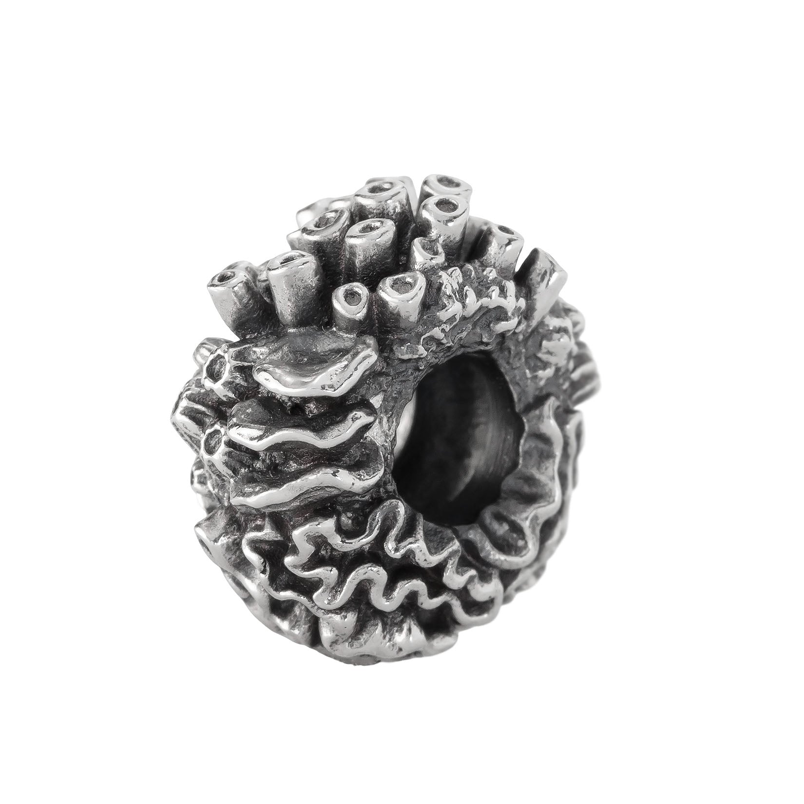 Coral Reef Spacer