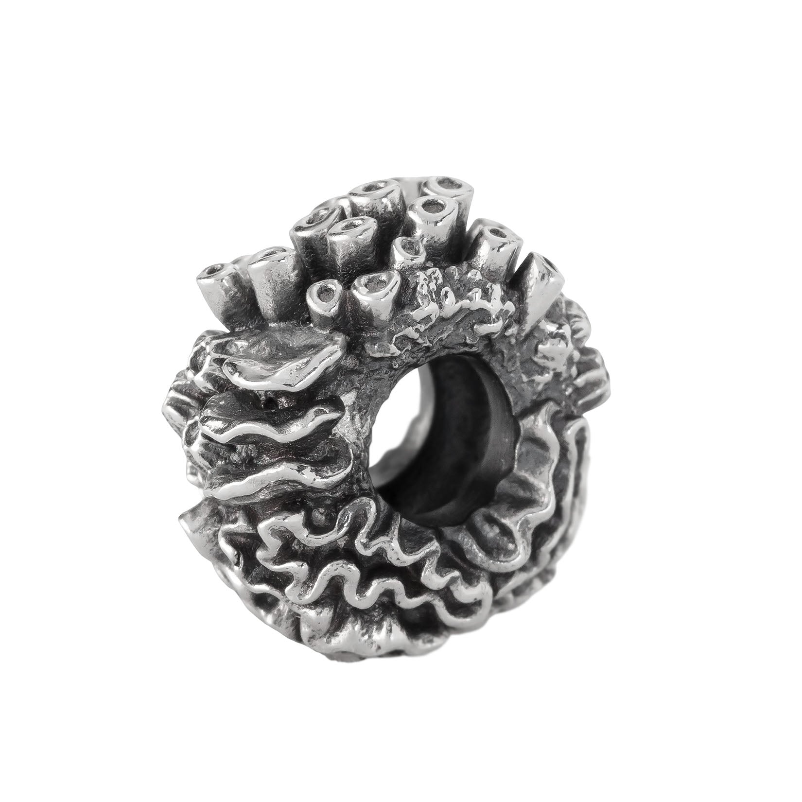Coral Reef Spacer