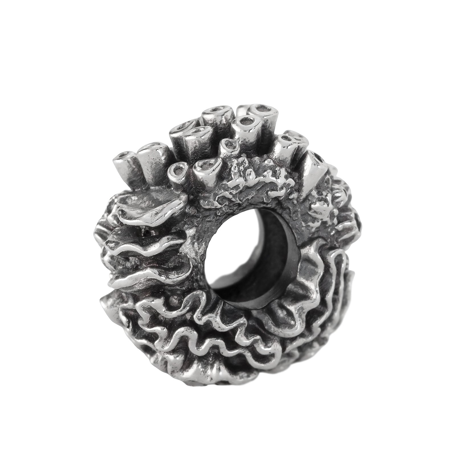 Coral Reef Spacer