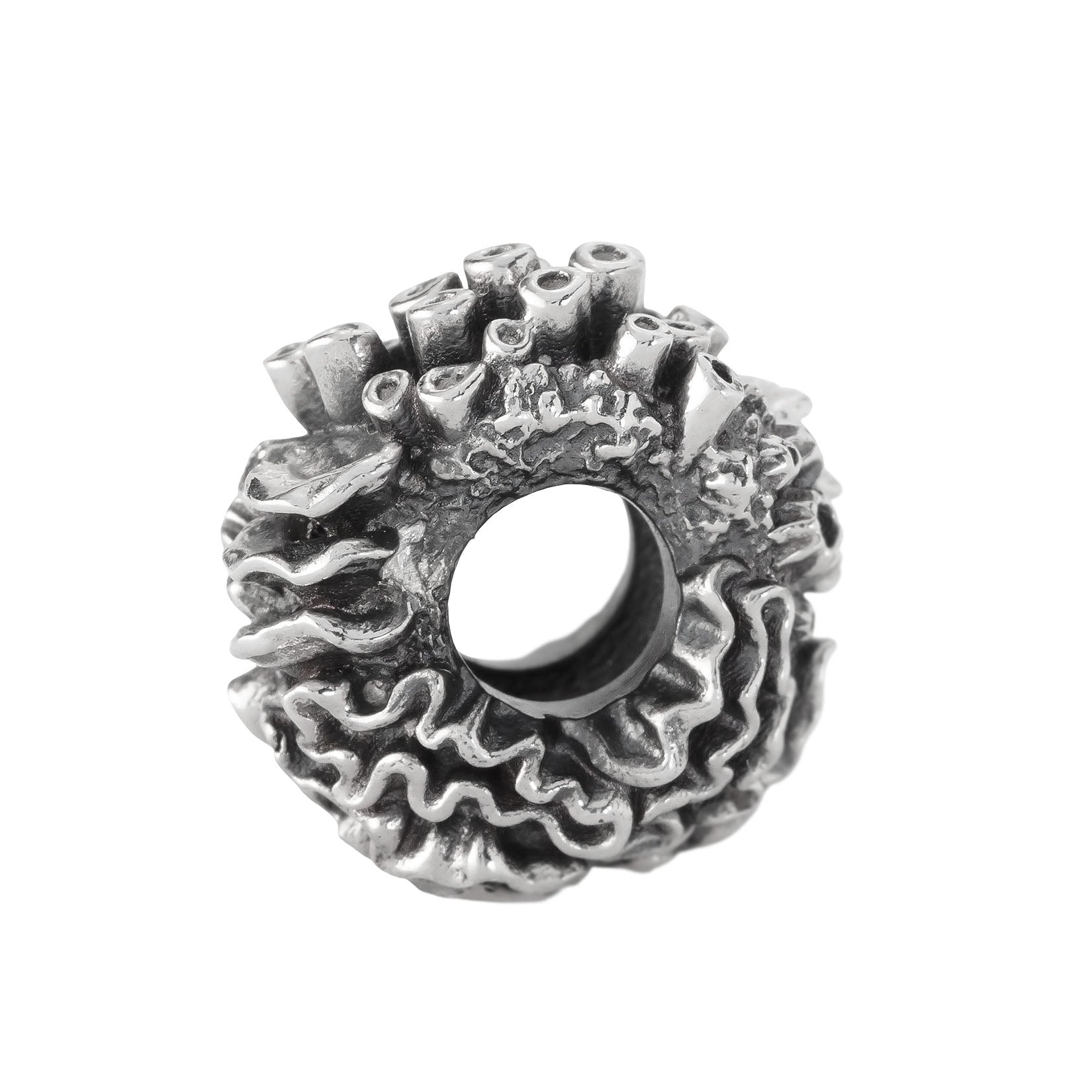 Coral Reef Spacer