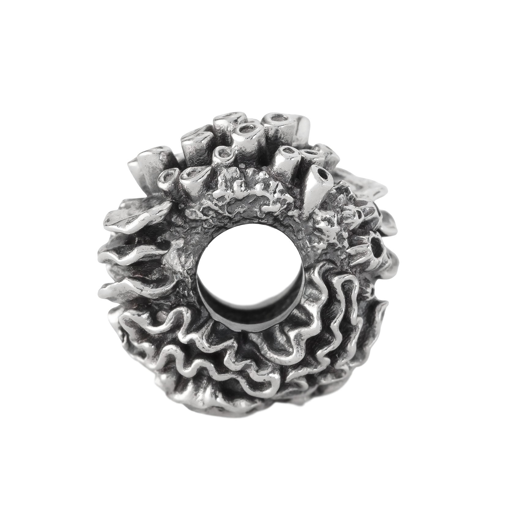 Coral Reef Spacer