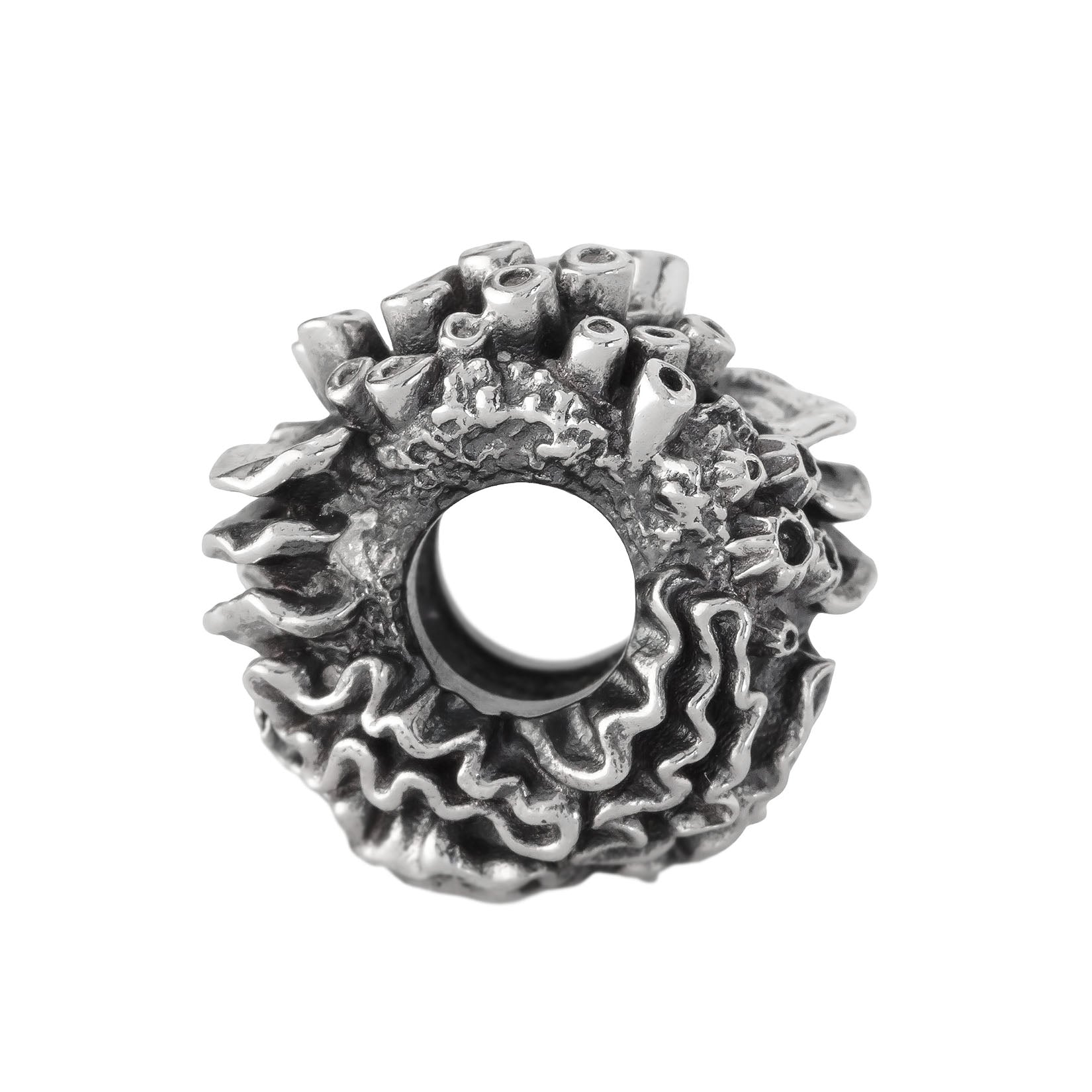 Coral Reef Spacer