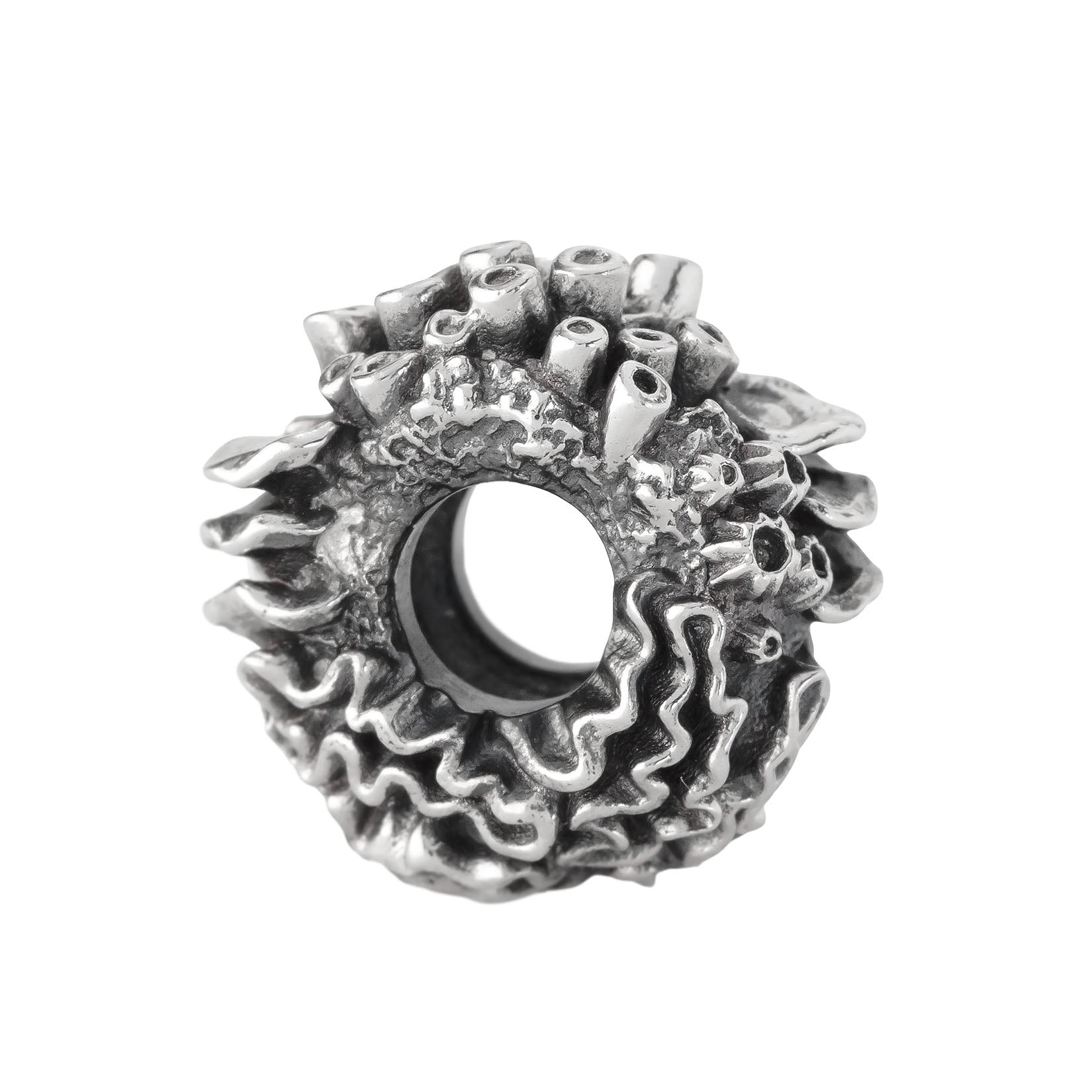 Coral Reef Spacer