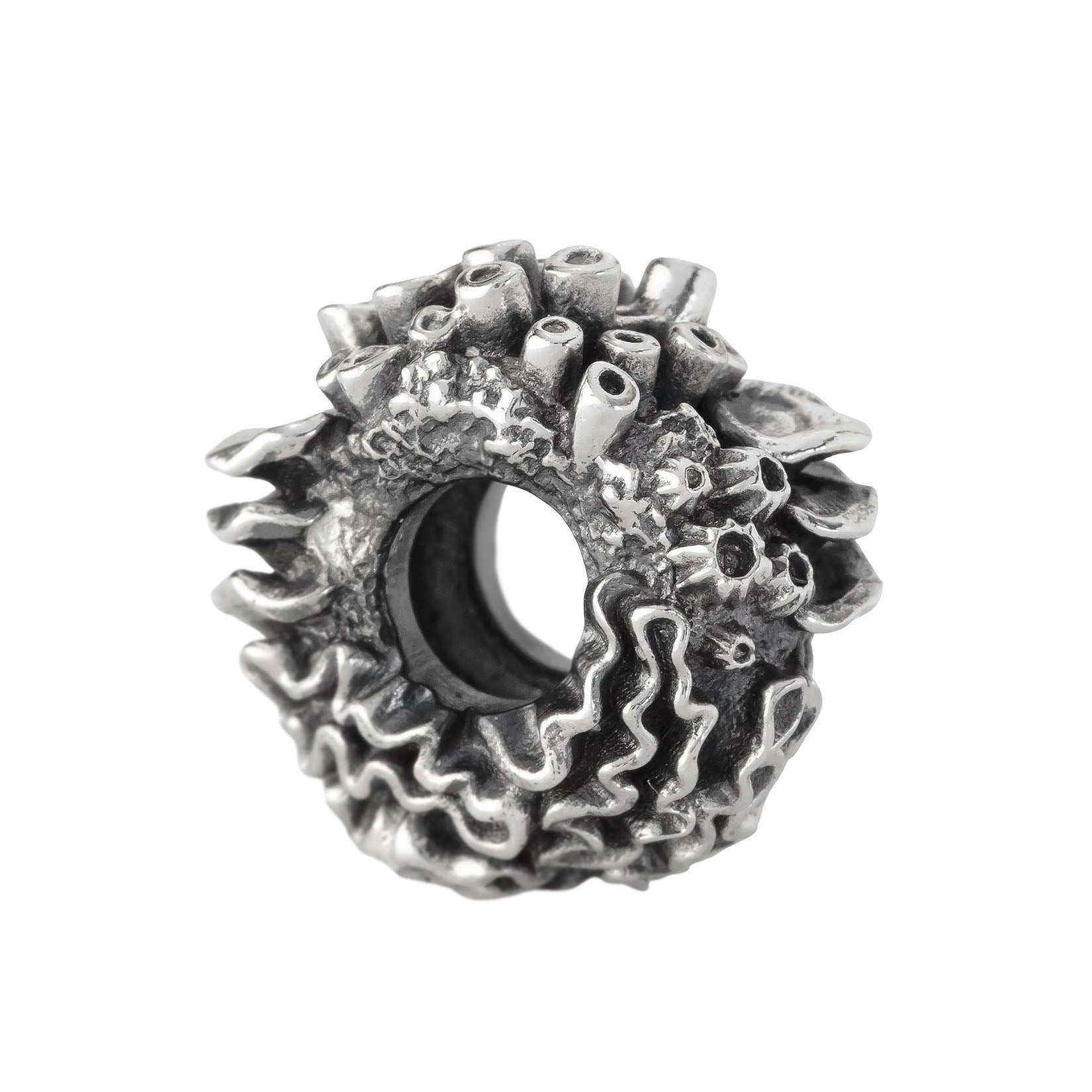 Coral Reef Spacer