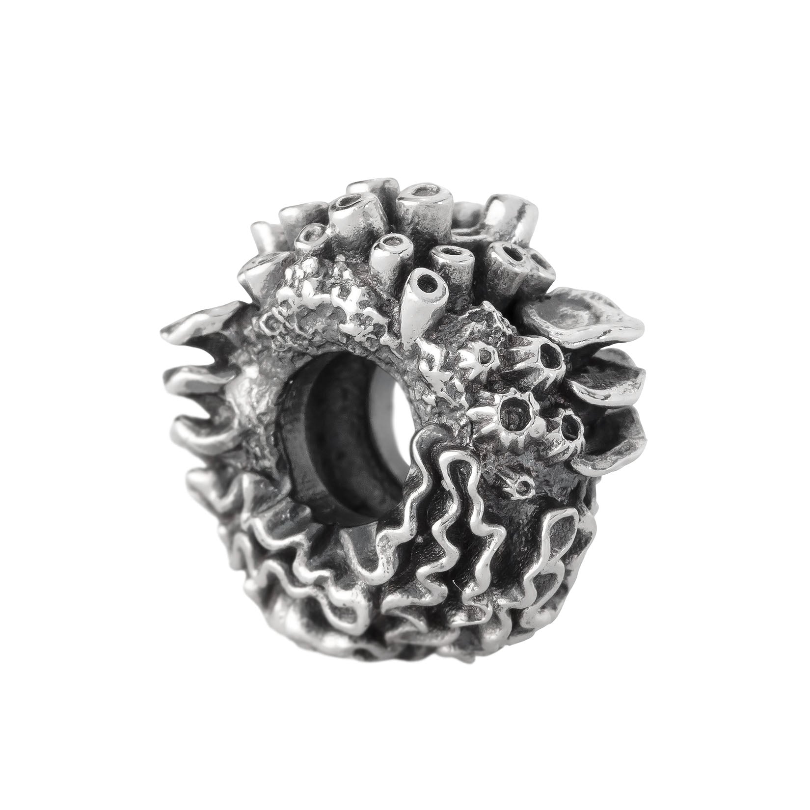 Coral Reef Spacer