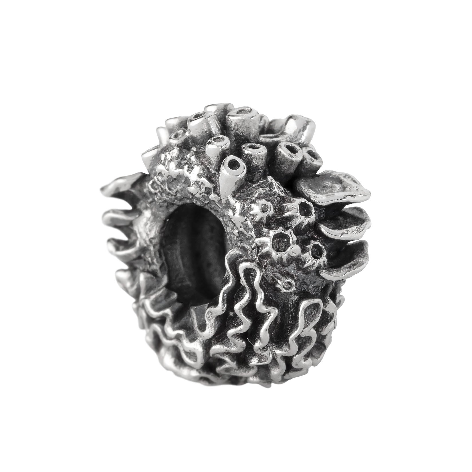 Coral Reef Spacer