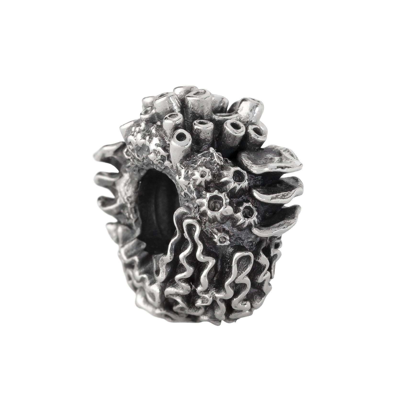 Coral Reef Spacer
