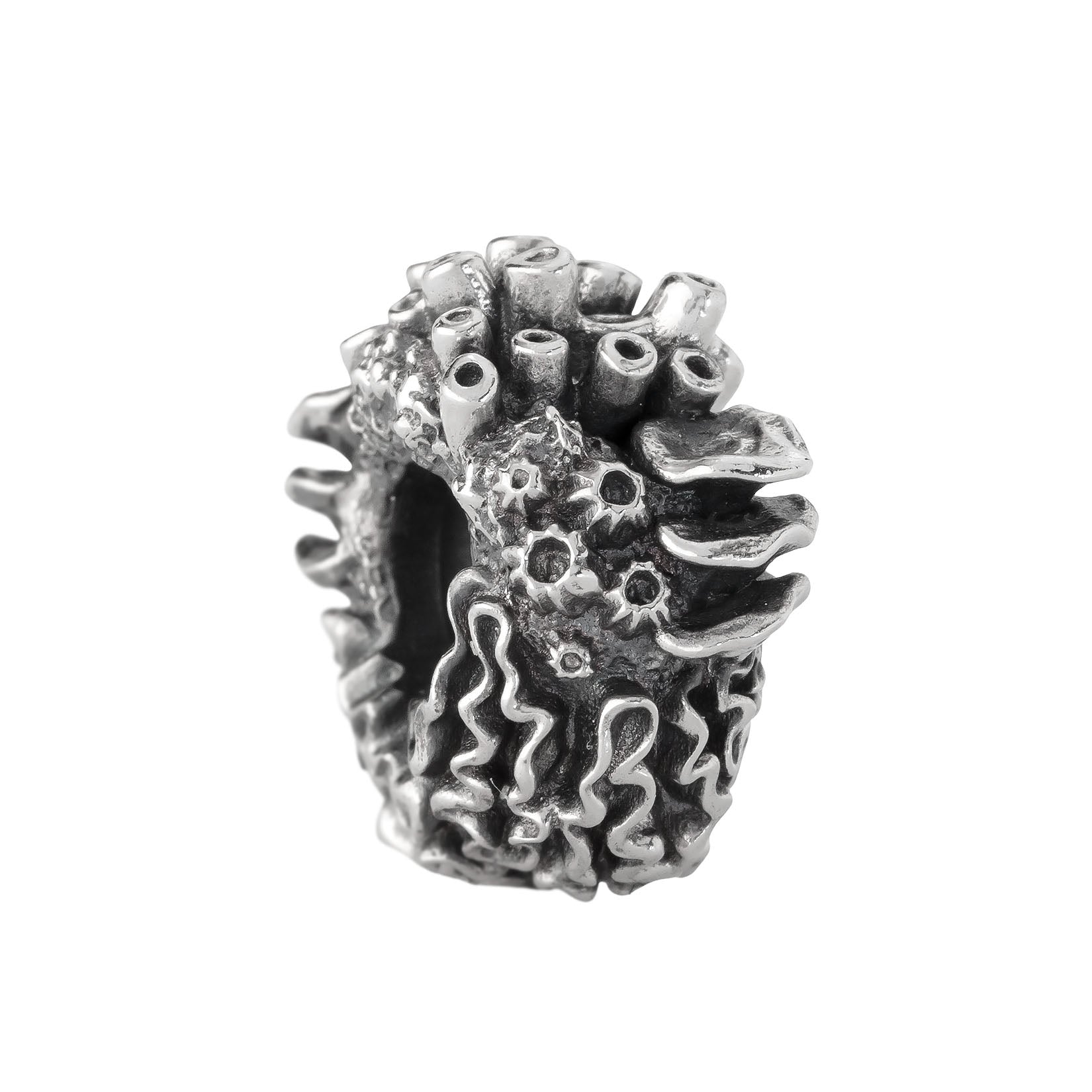 Coral Reef Spacer