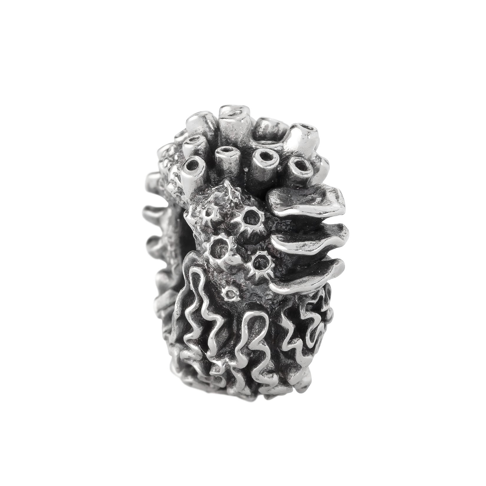 Coral Reef Spacer