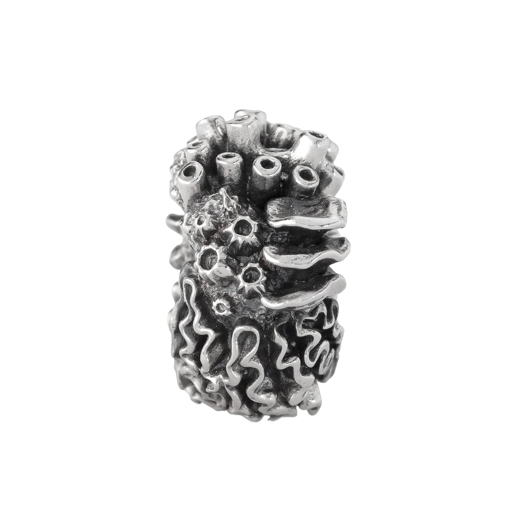 Coral Reef Spacer