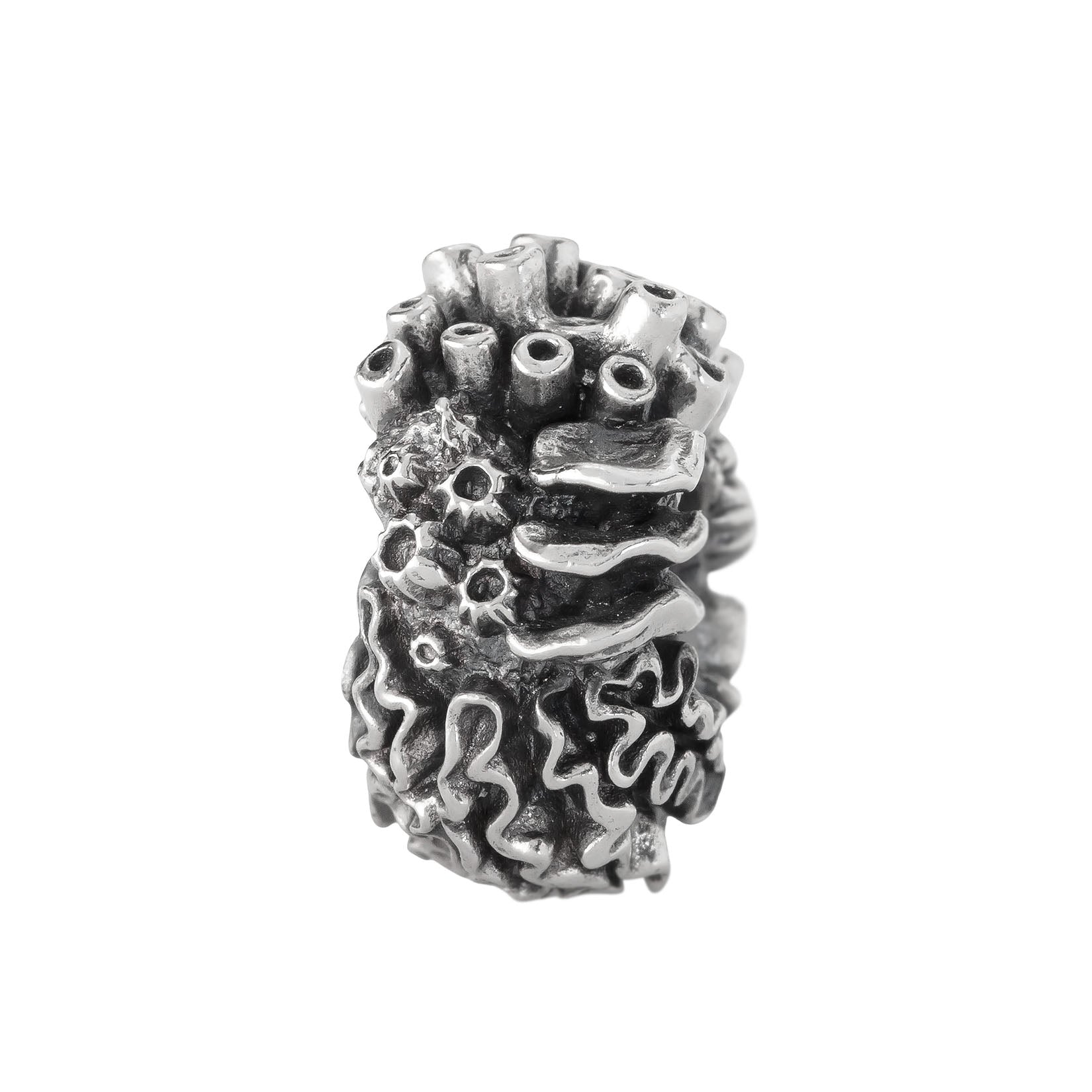 Coral Reef Spacer