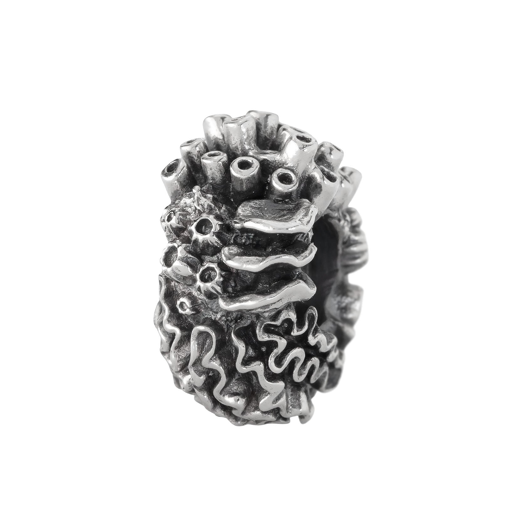 Coral Reef Spacer