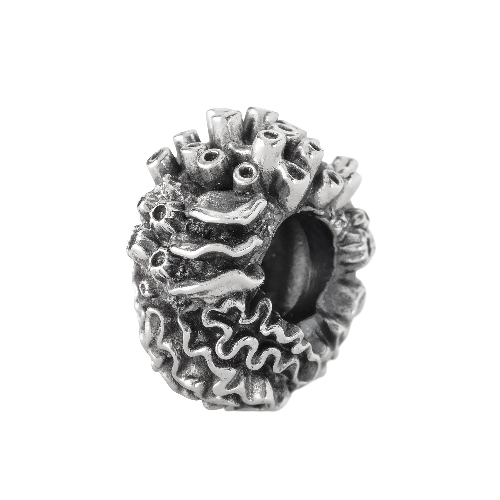 Coral Reef Spacer