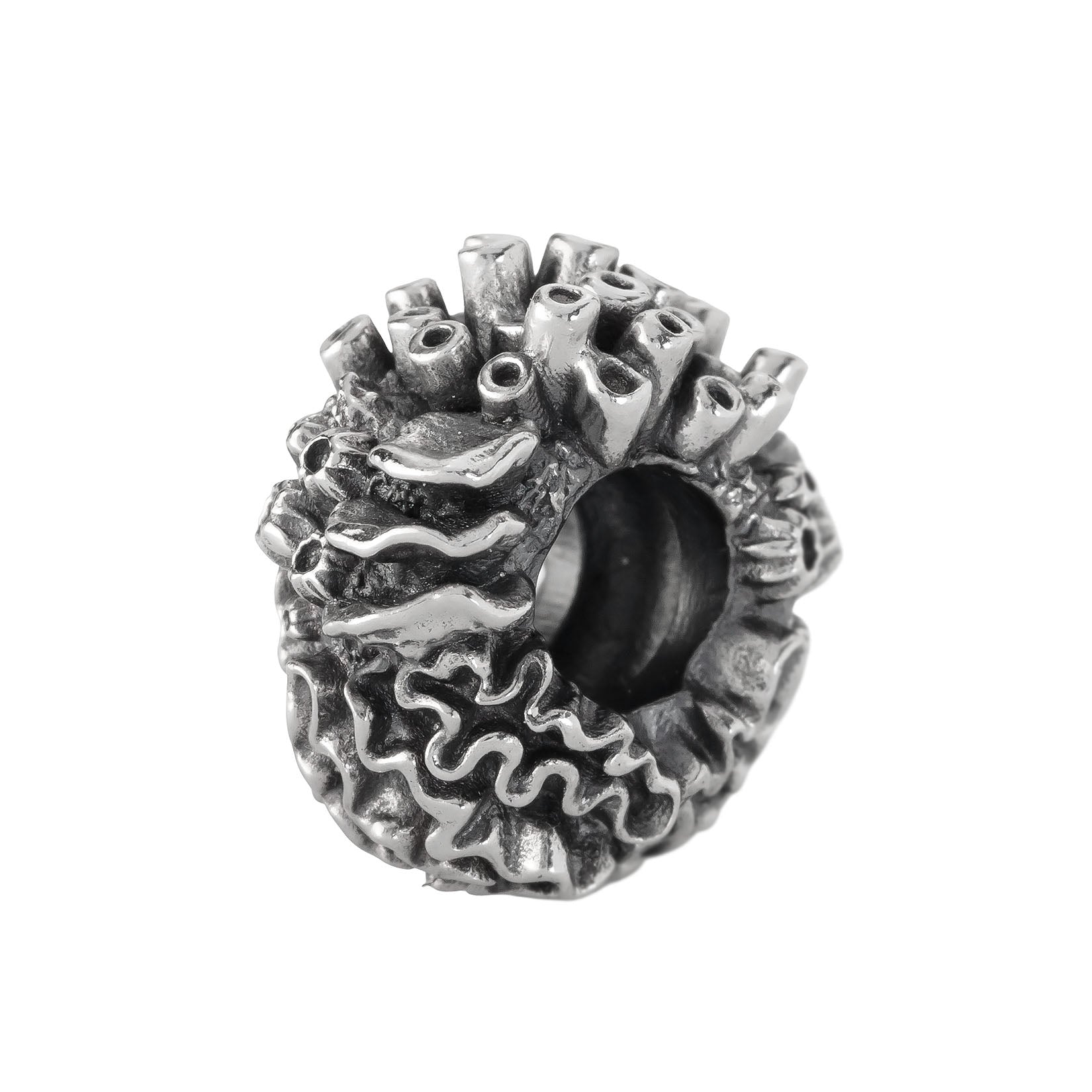 Coral Reef Spacer