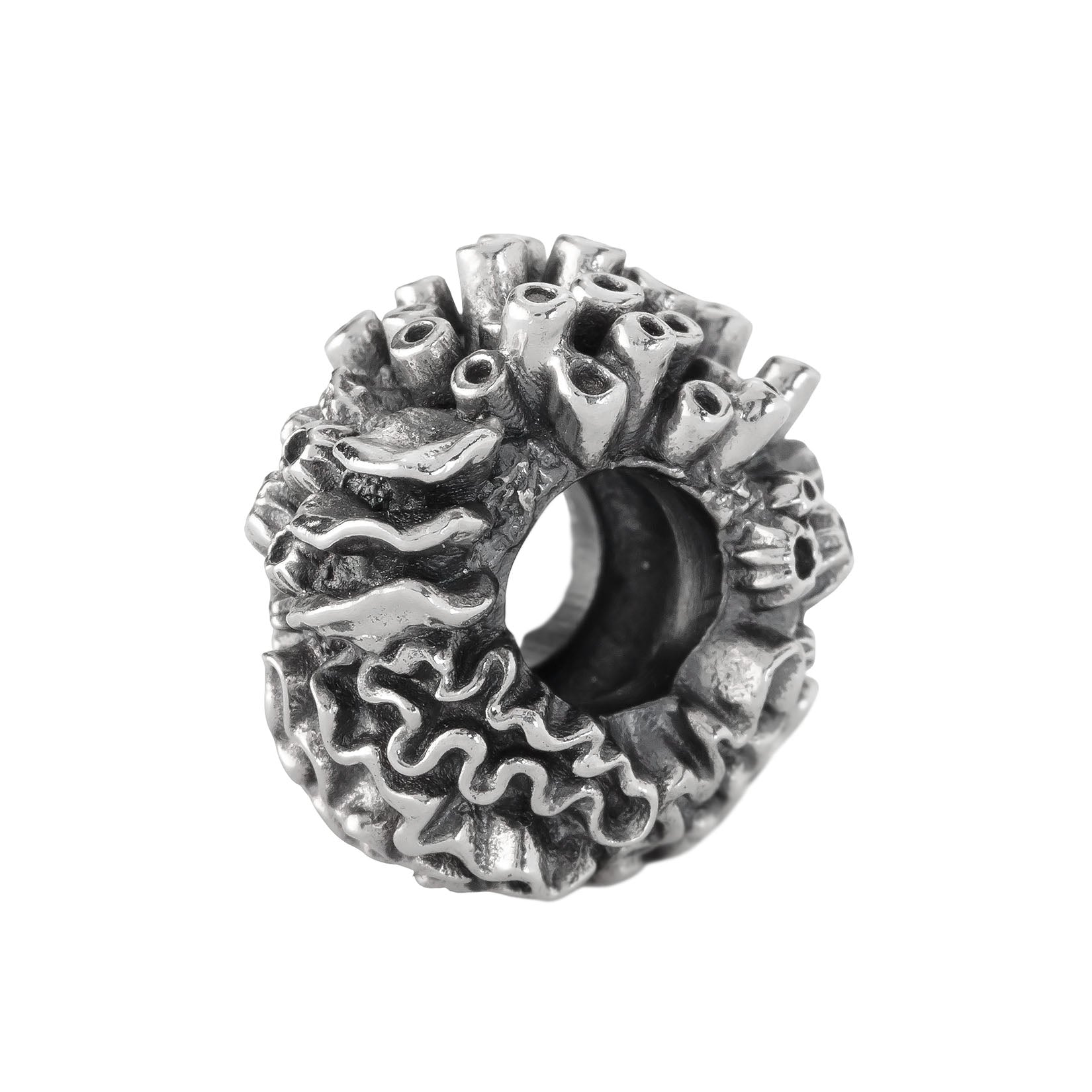 Coral Reef Spacer