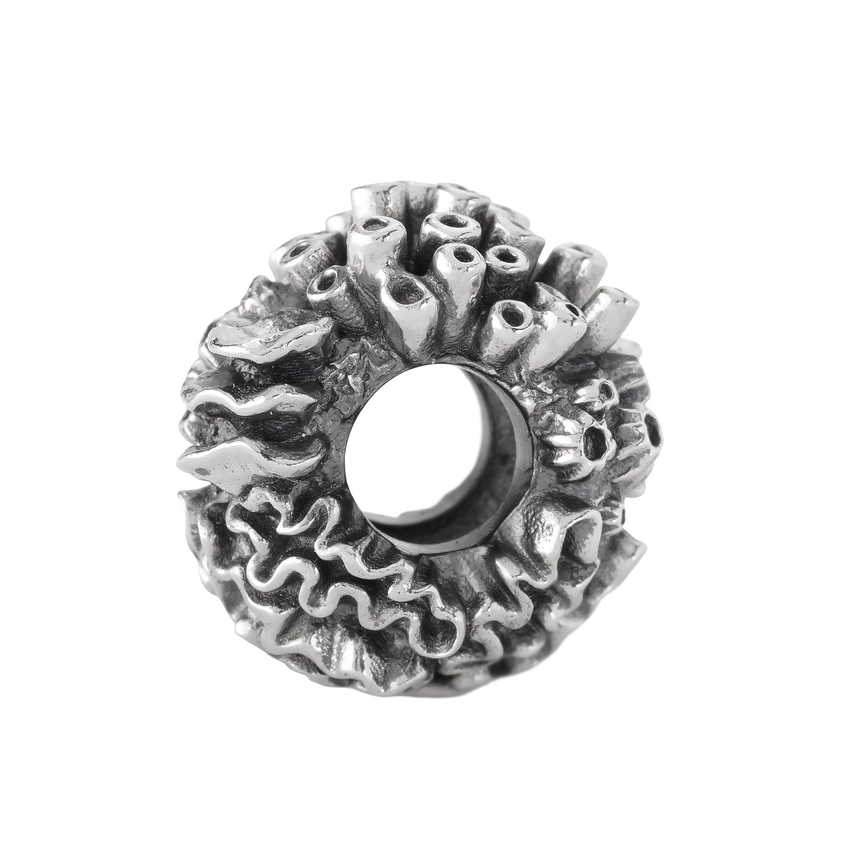 Coral Reef Spacer