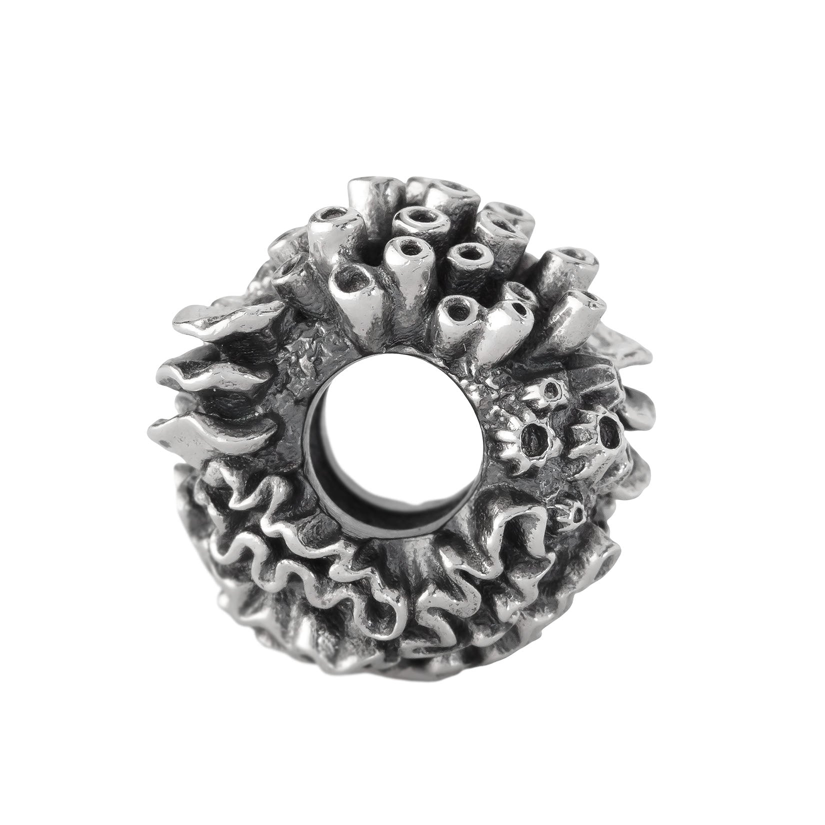 Coral Reef Spacer