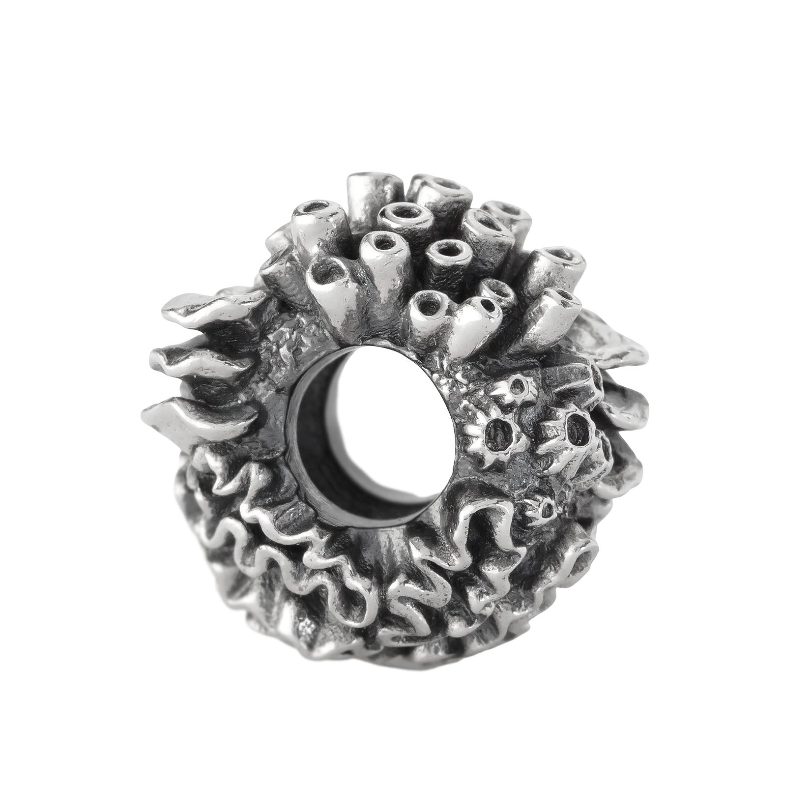 Coral Reef Spacer