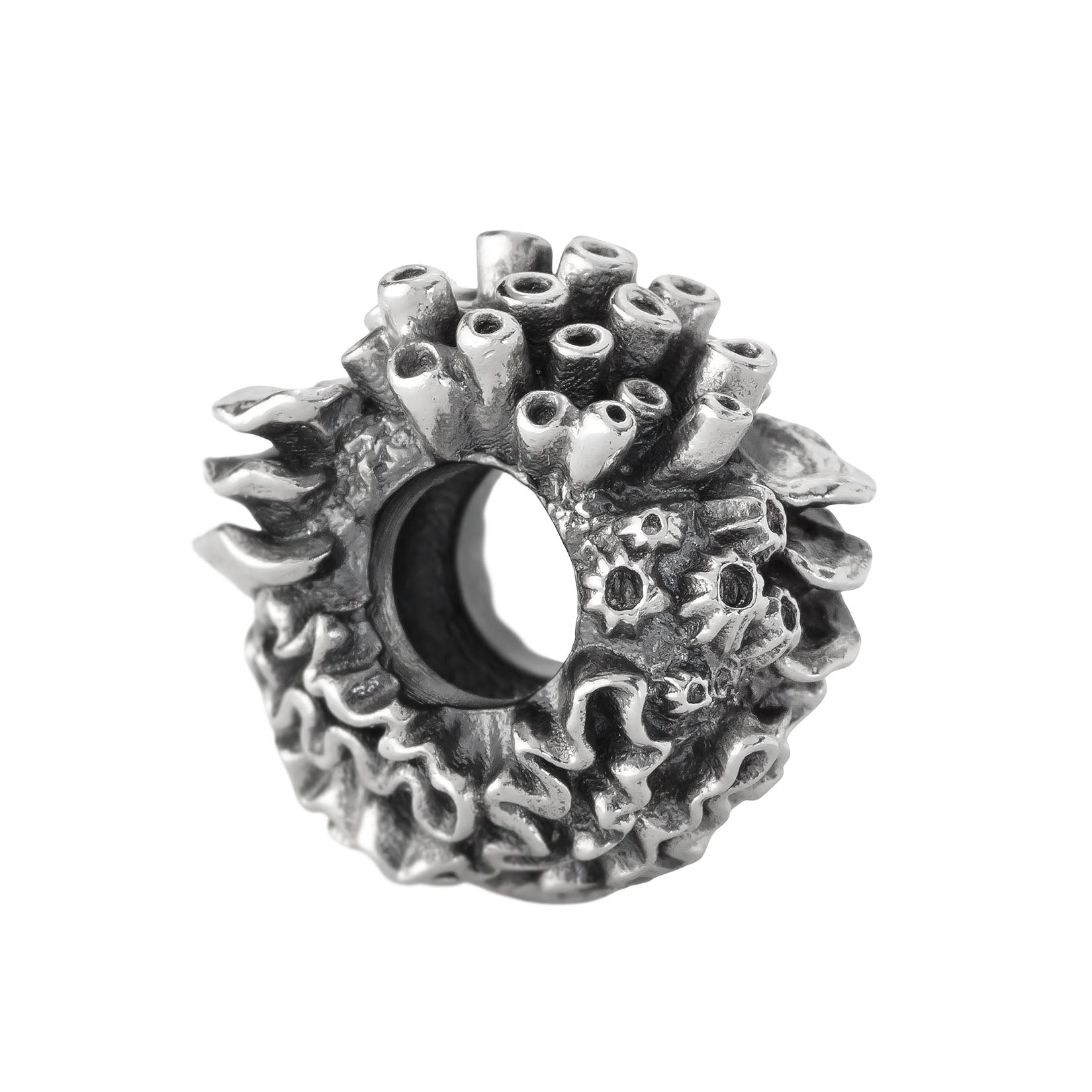 Coral Reef Spacer