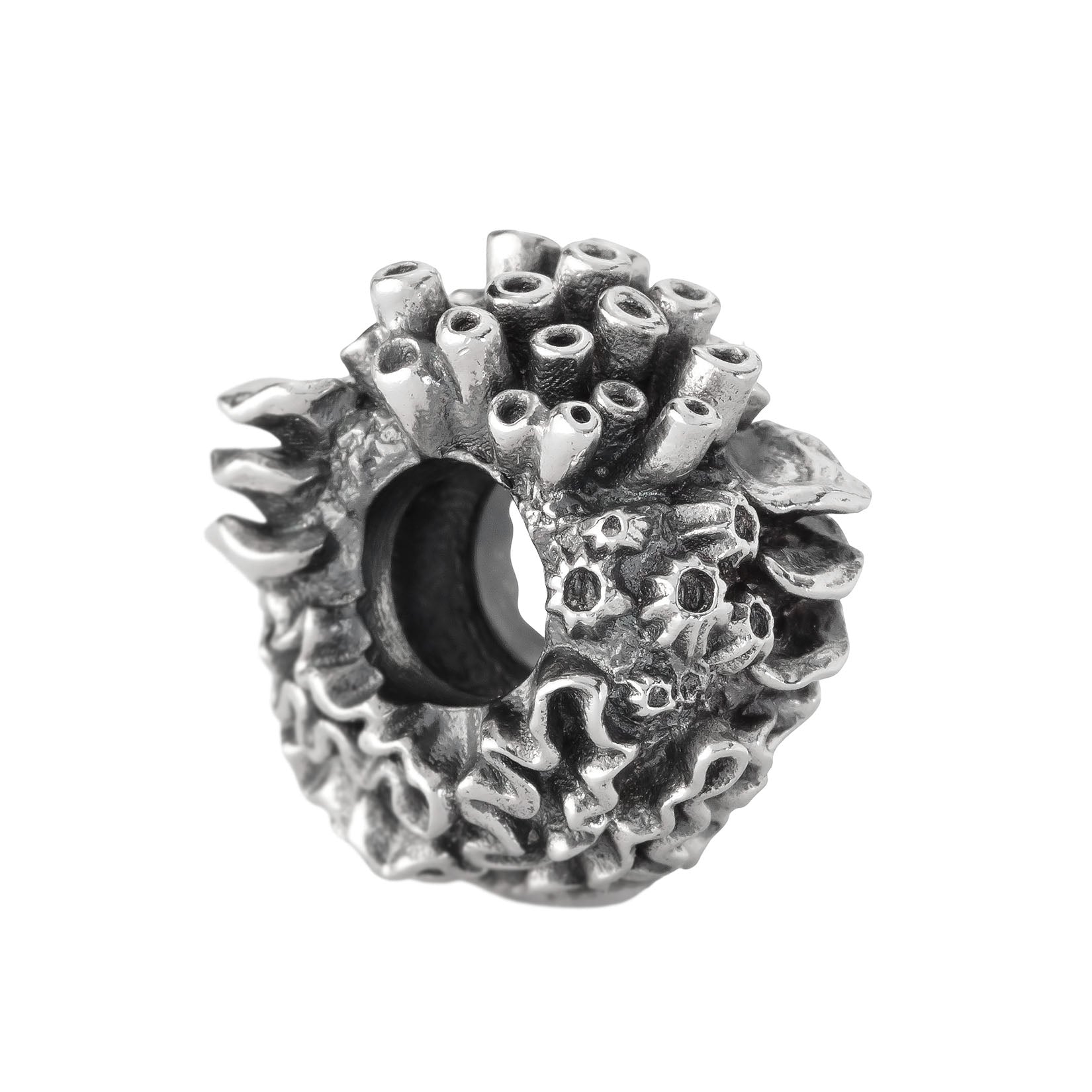 Coral Reef Spacer