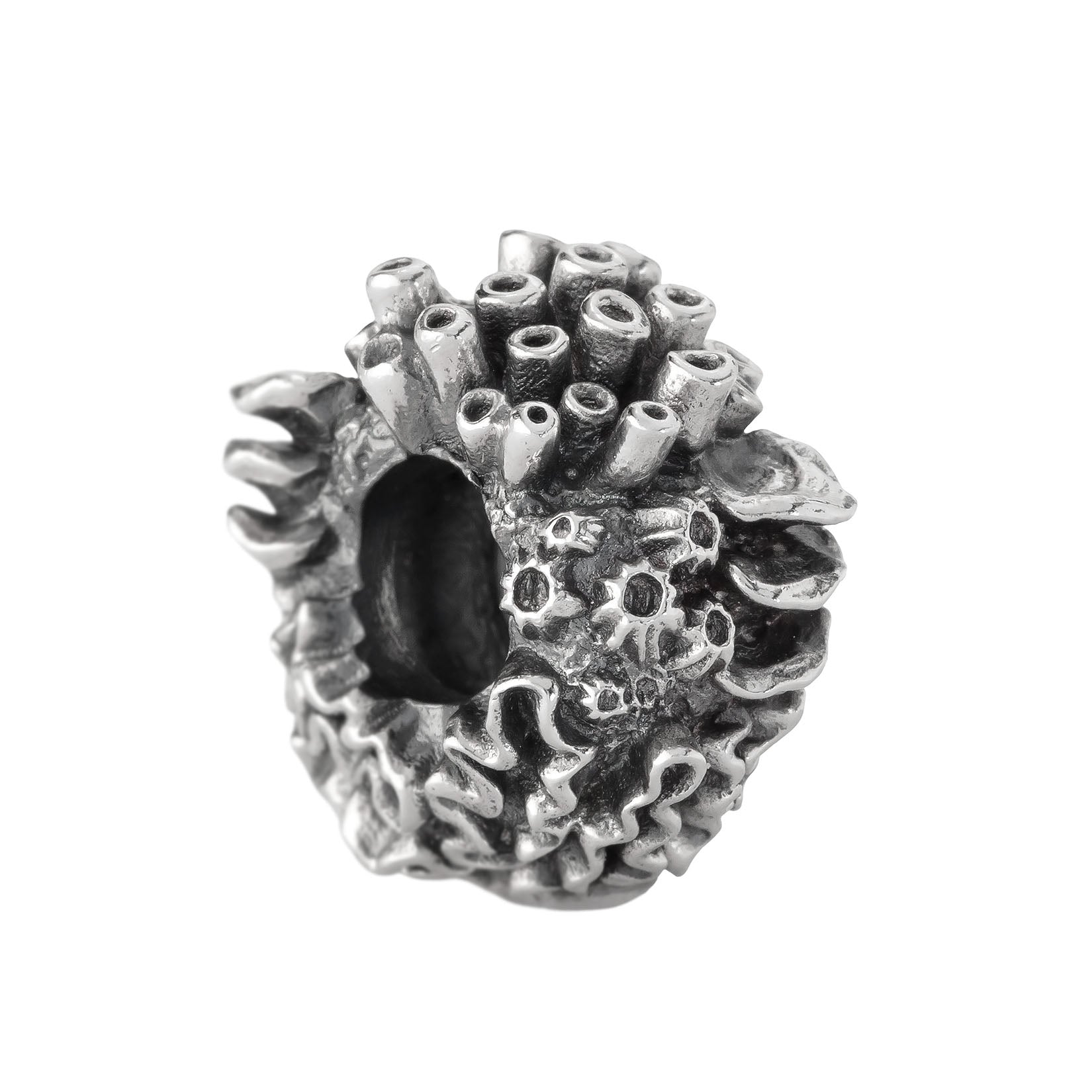 Coral Reef Spacer