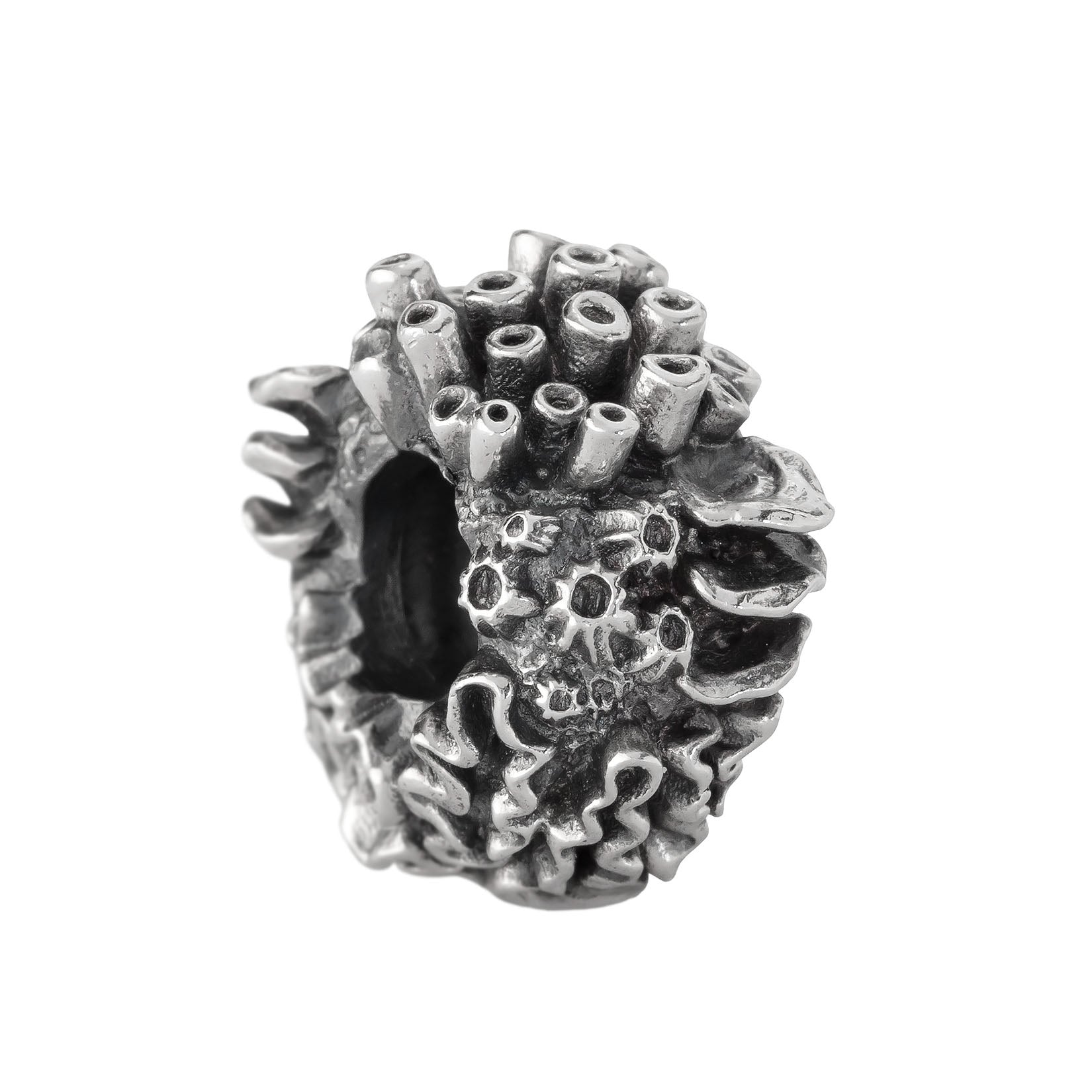 Coral Reef Spacer