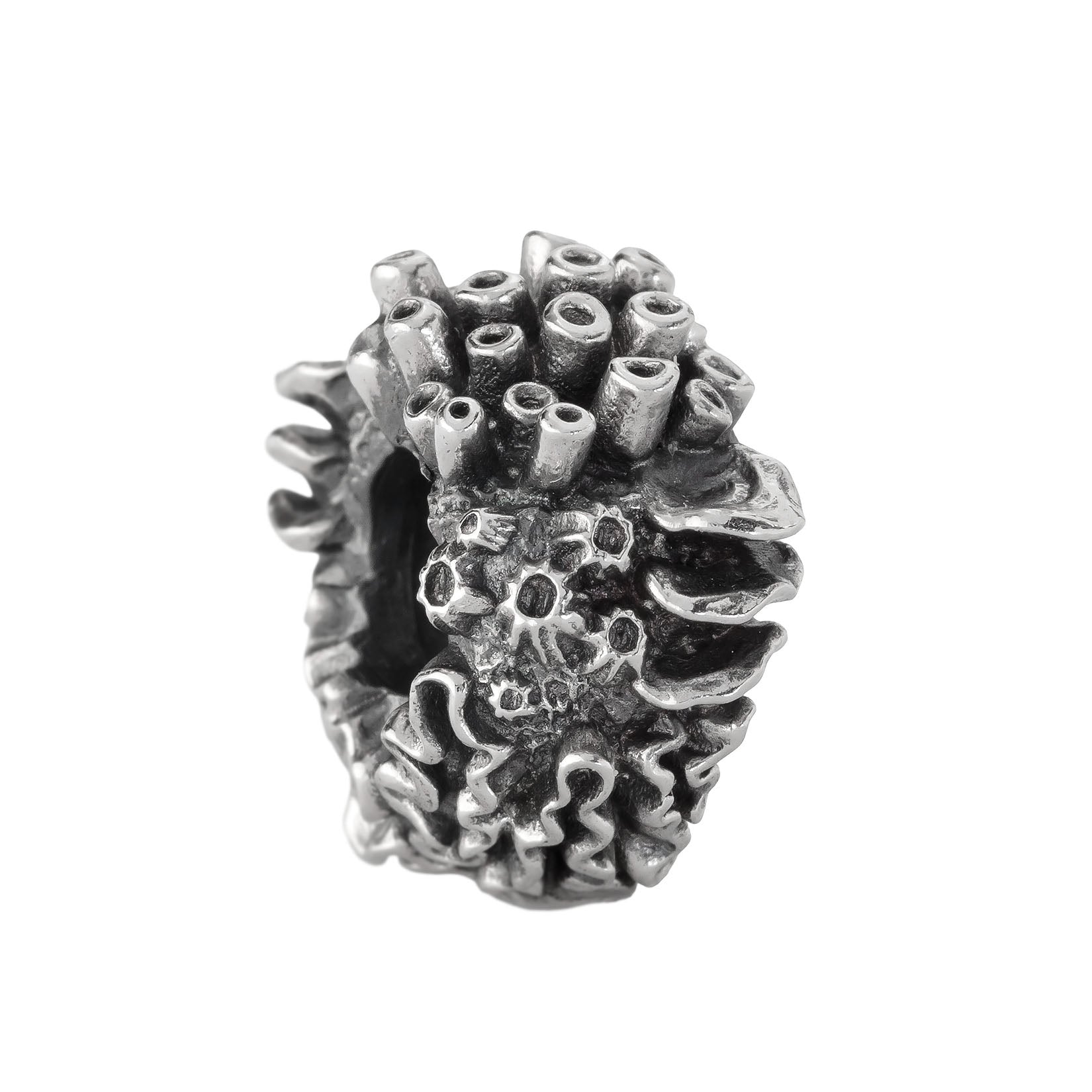 Coral Reef Spacer