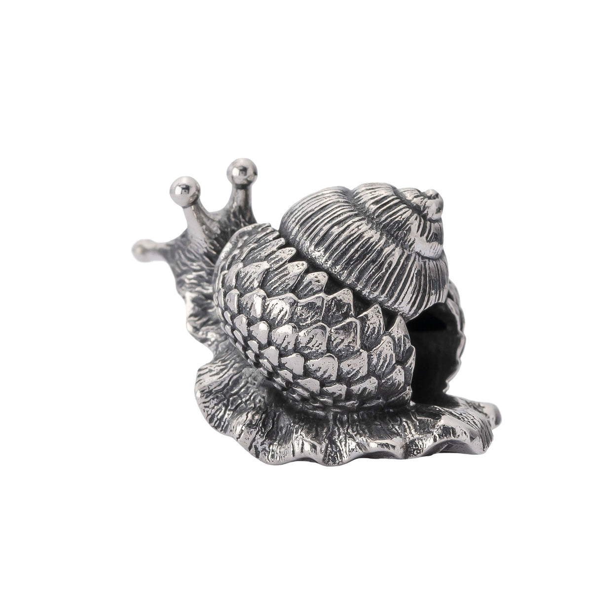 Oakleaf Snail