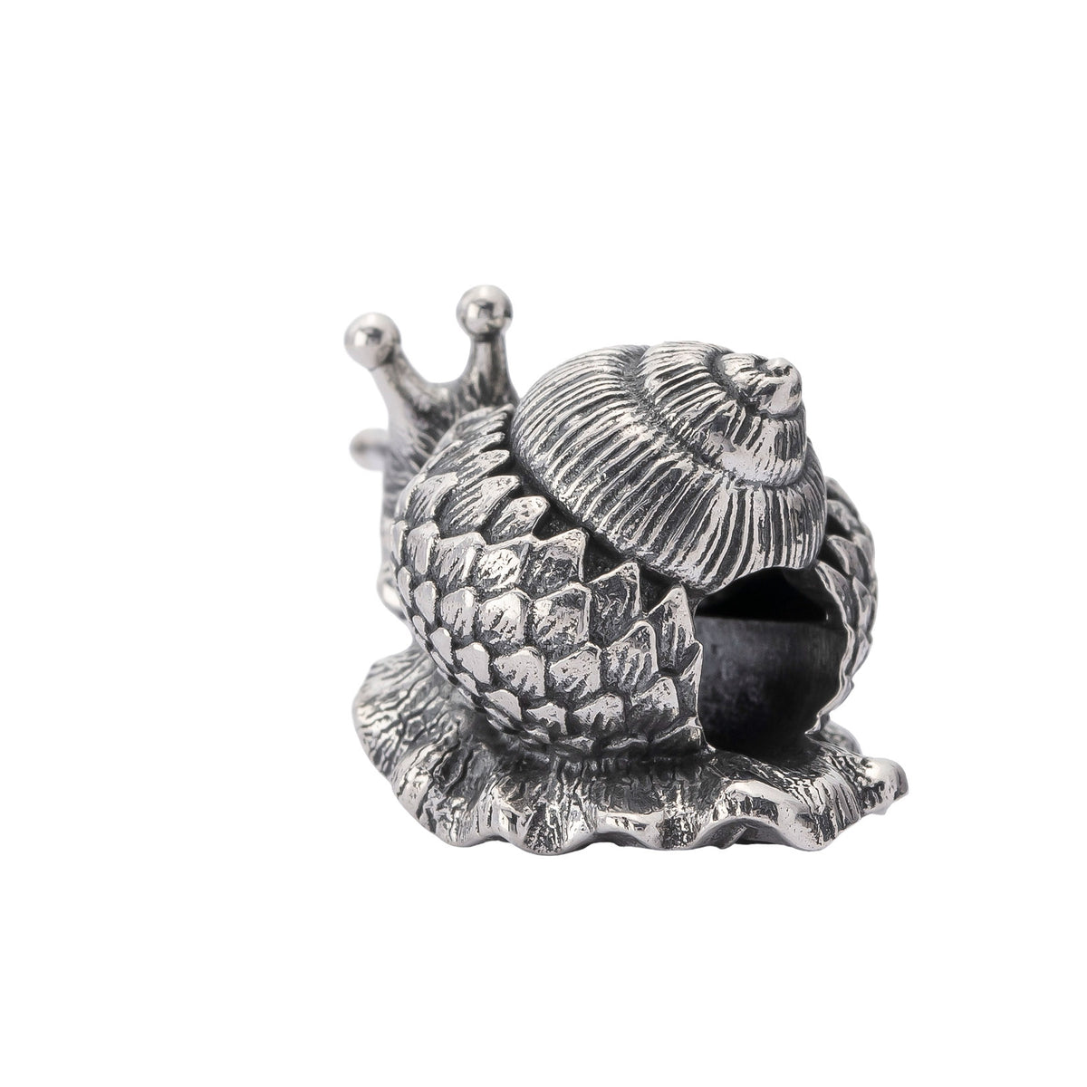 Oakleaf Snail