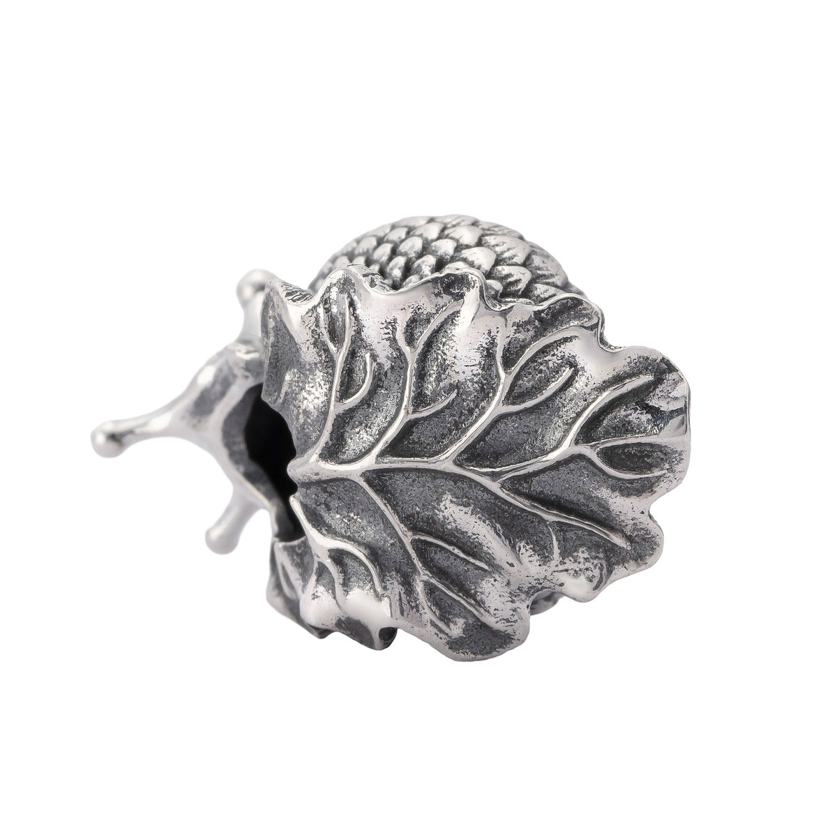 Oakleaf Snail