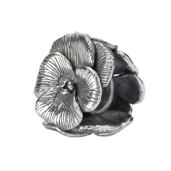 Pansies V2