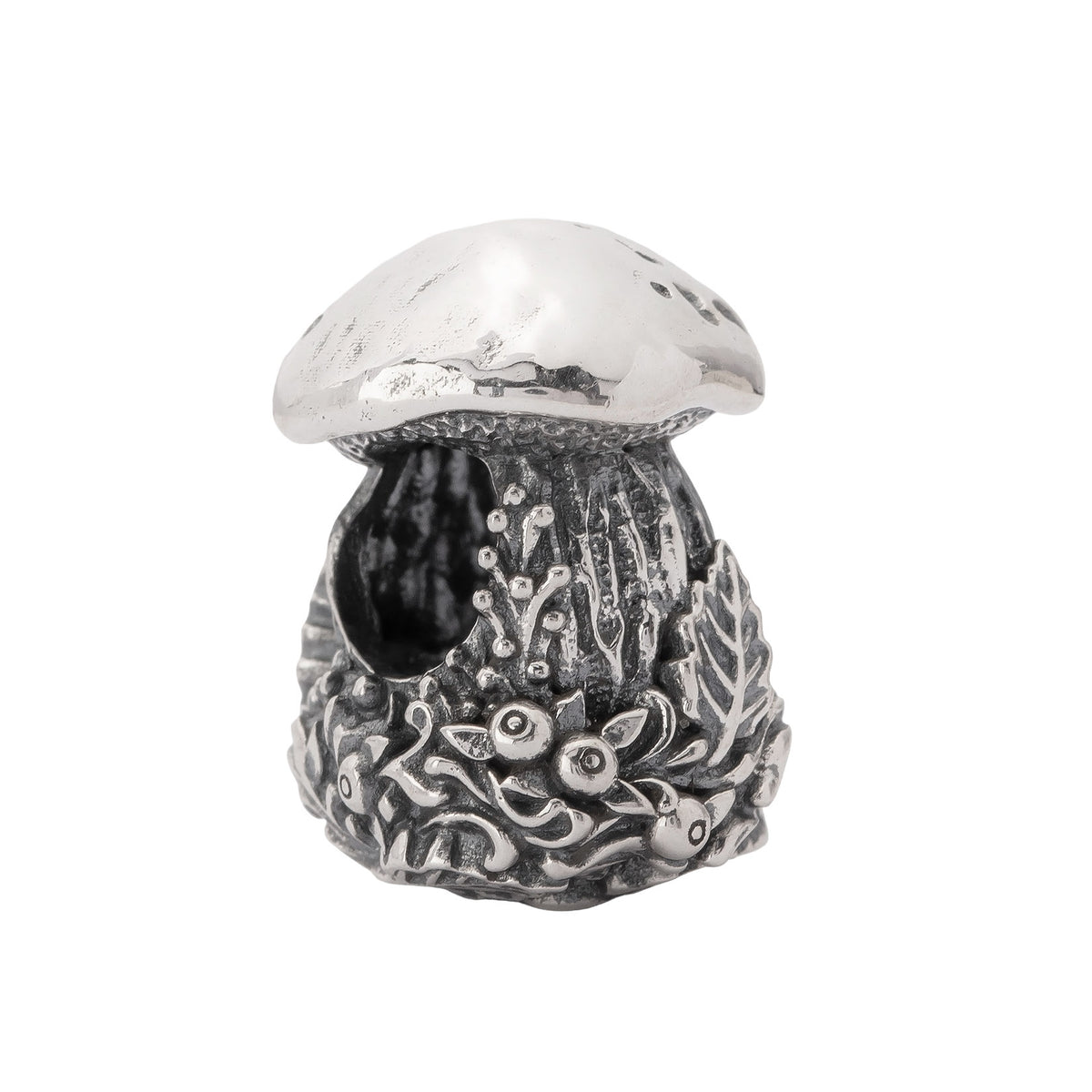 Porcini Treasure