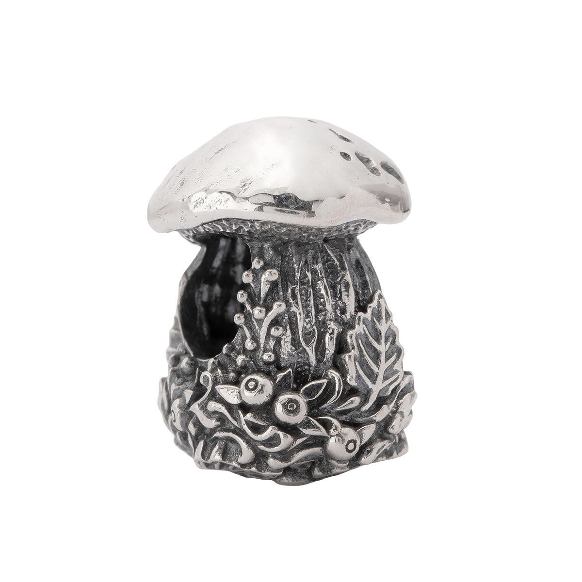 Porcini Treasure