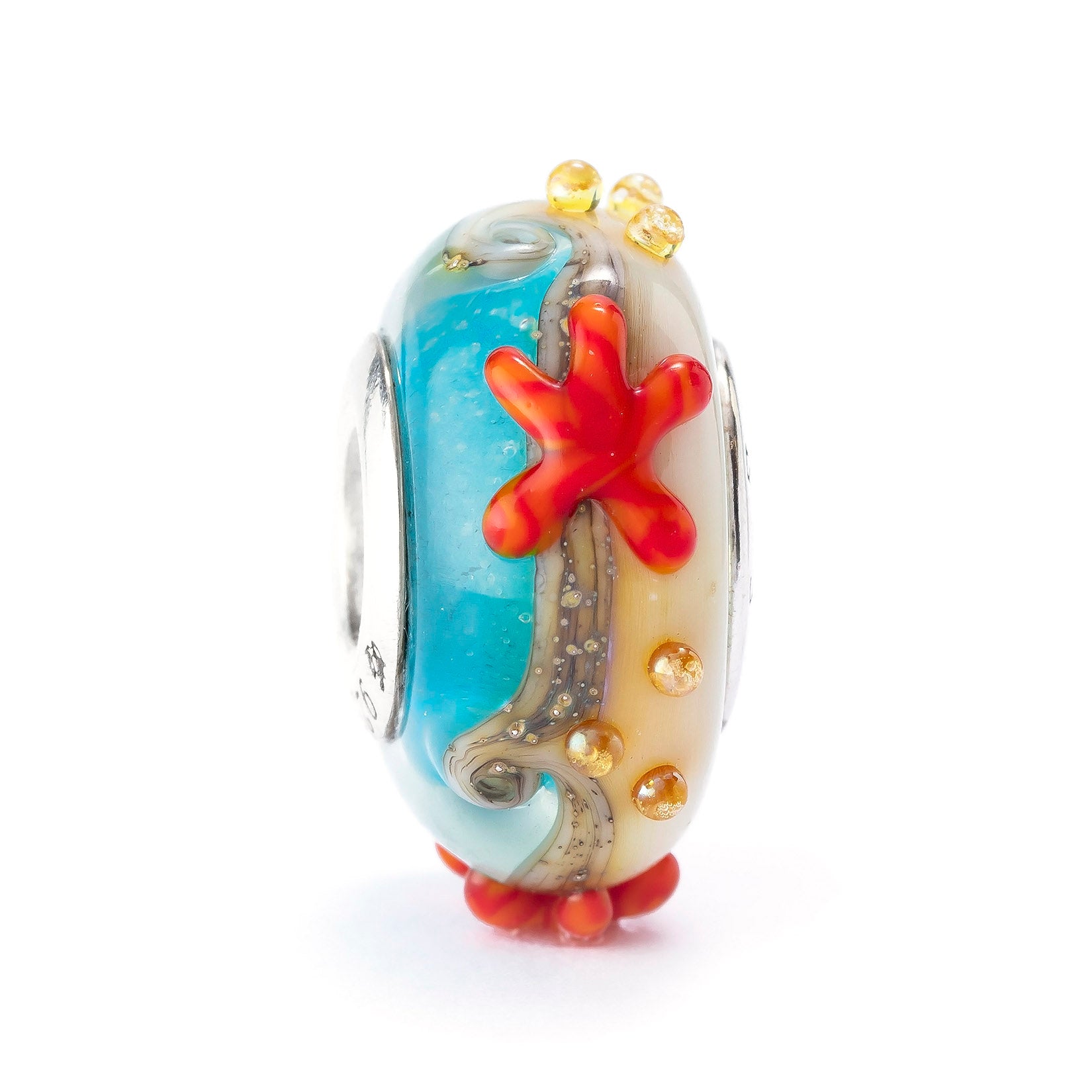 Starfish Shore Starlight